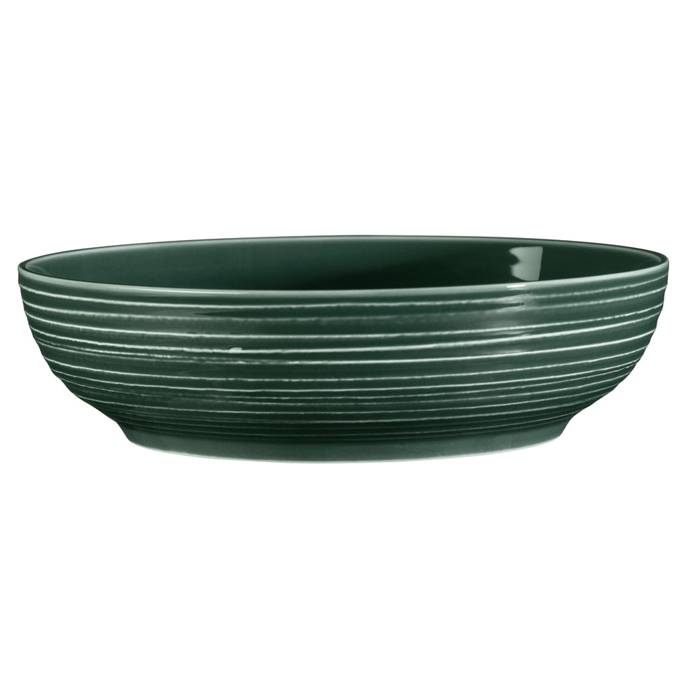 Seltmann Weiden Djup Tallrik Terra Mossgrön 25 cm 2-pack