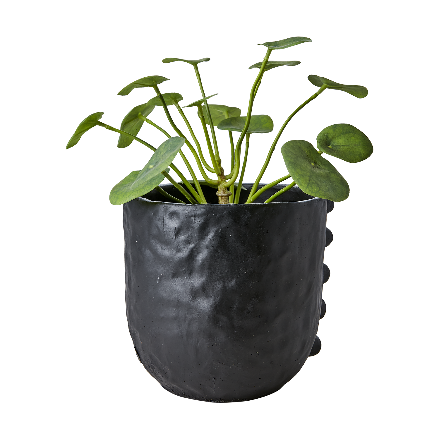 Affari Of Sweden CAMILLE Kruka L, Svart 2 pack