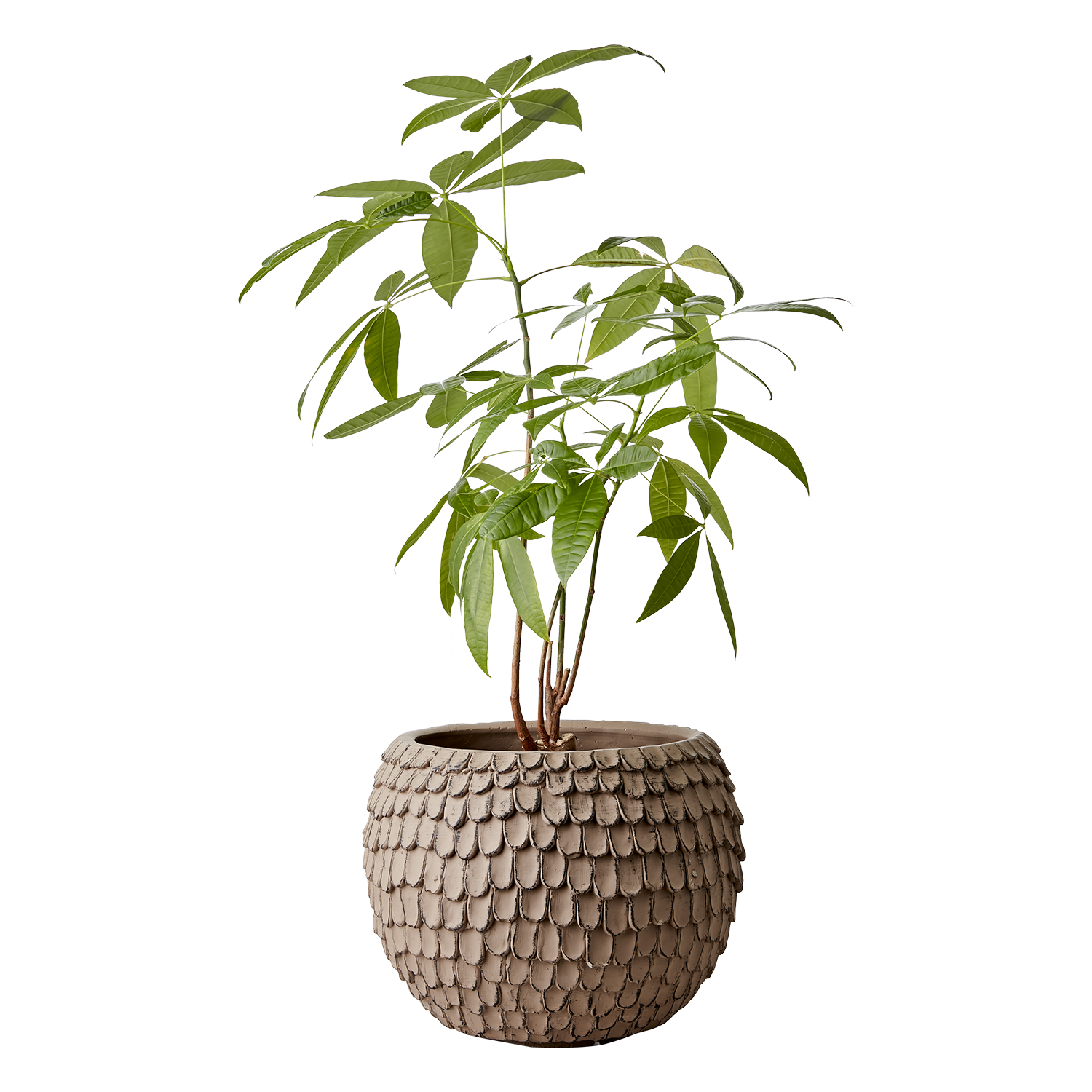 Affari Of Sweden FUDGE Kruka XL, Nougatbrun