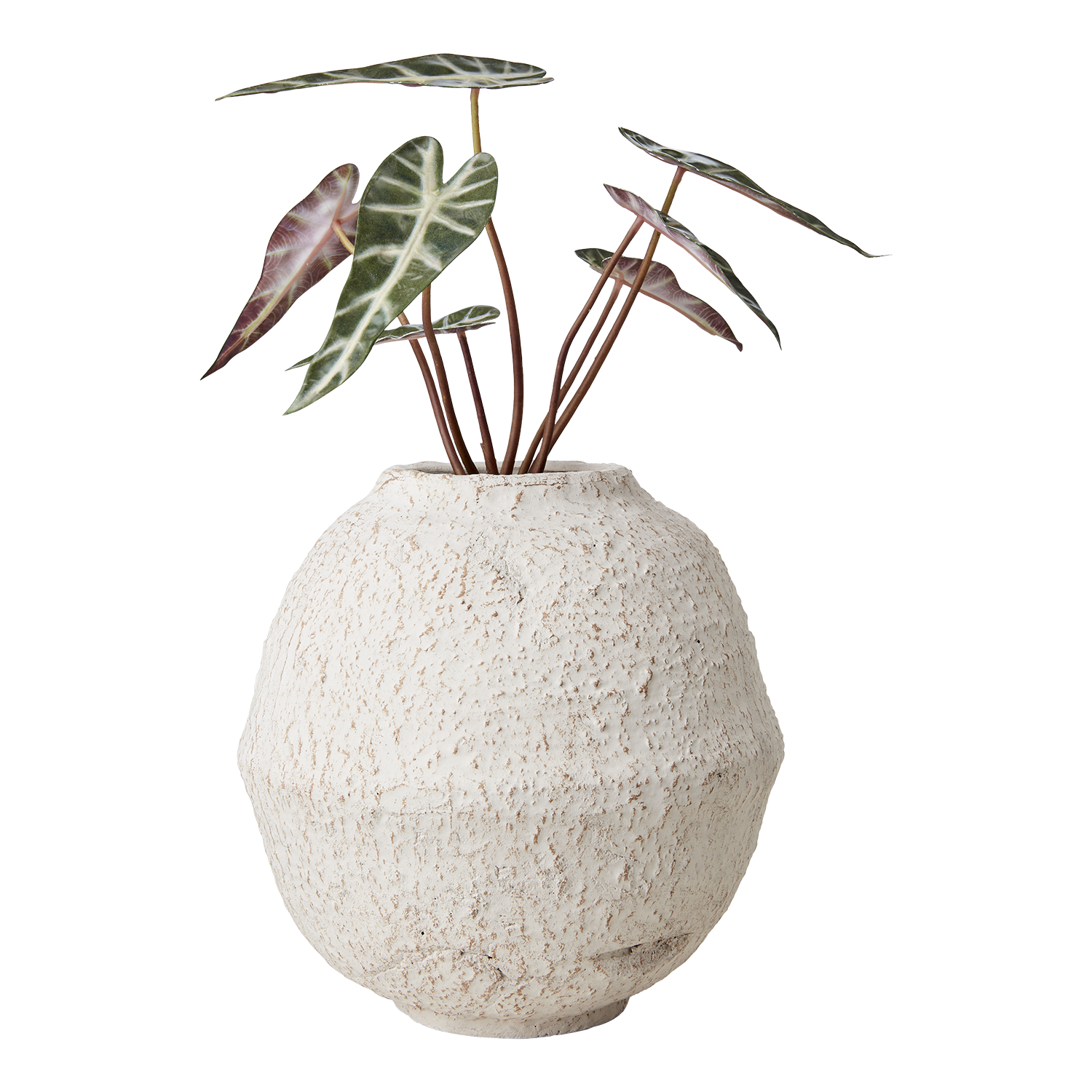 Affari Of Sweden Kruka CREAM, Elfenben