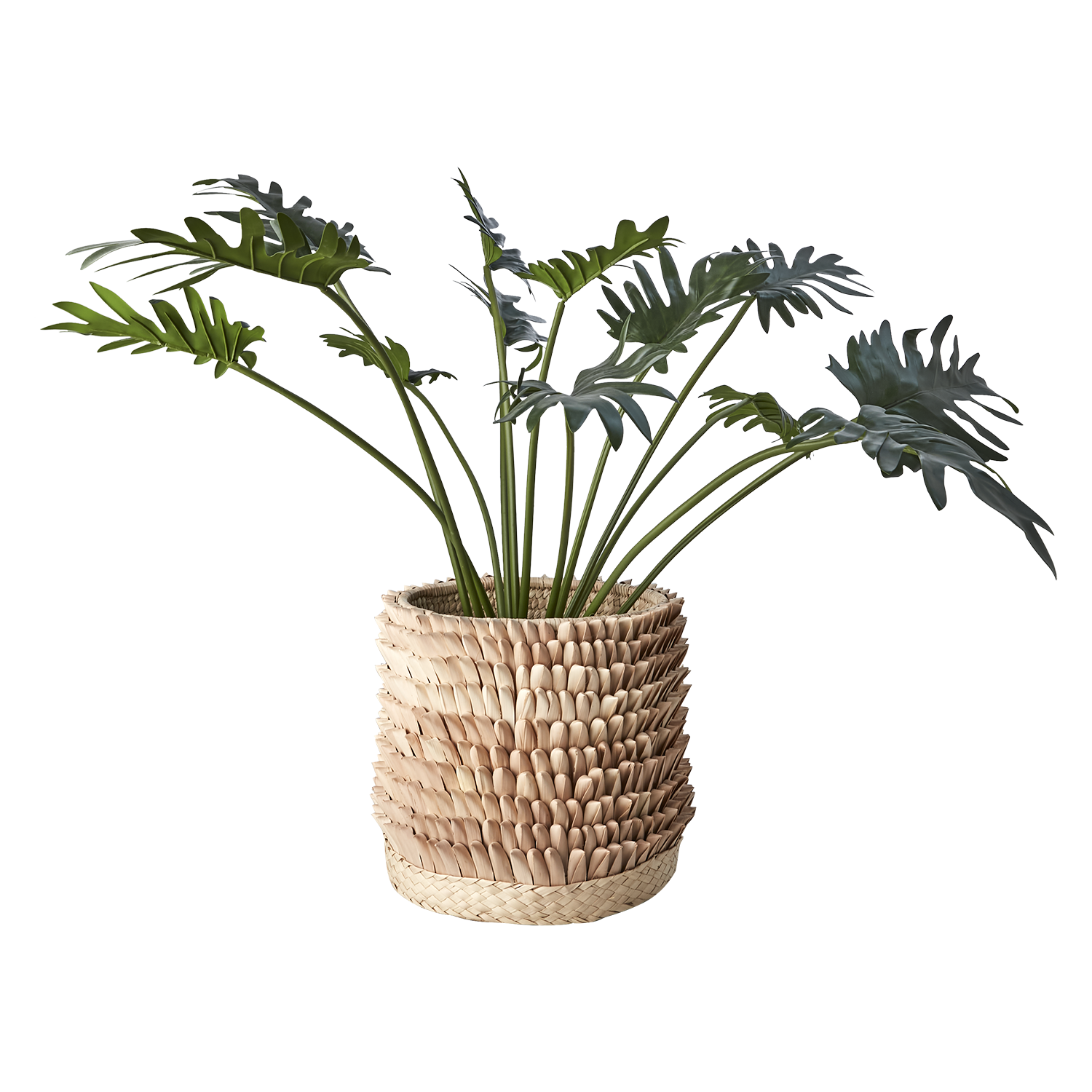 Affari Of Sweden SPIKY Kruka, Natur