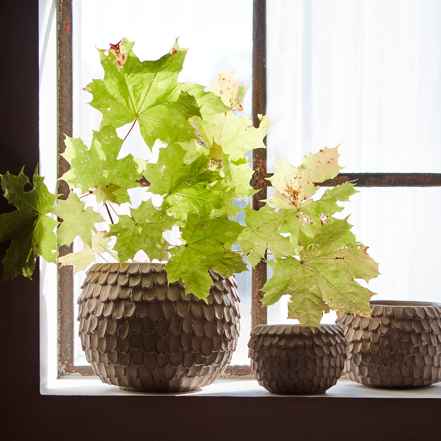 Affari Of Sweden FUDGE Kruka XL, Nougatbrun