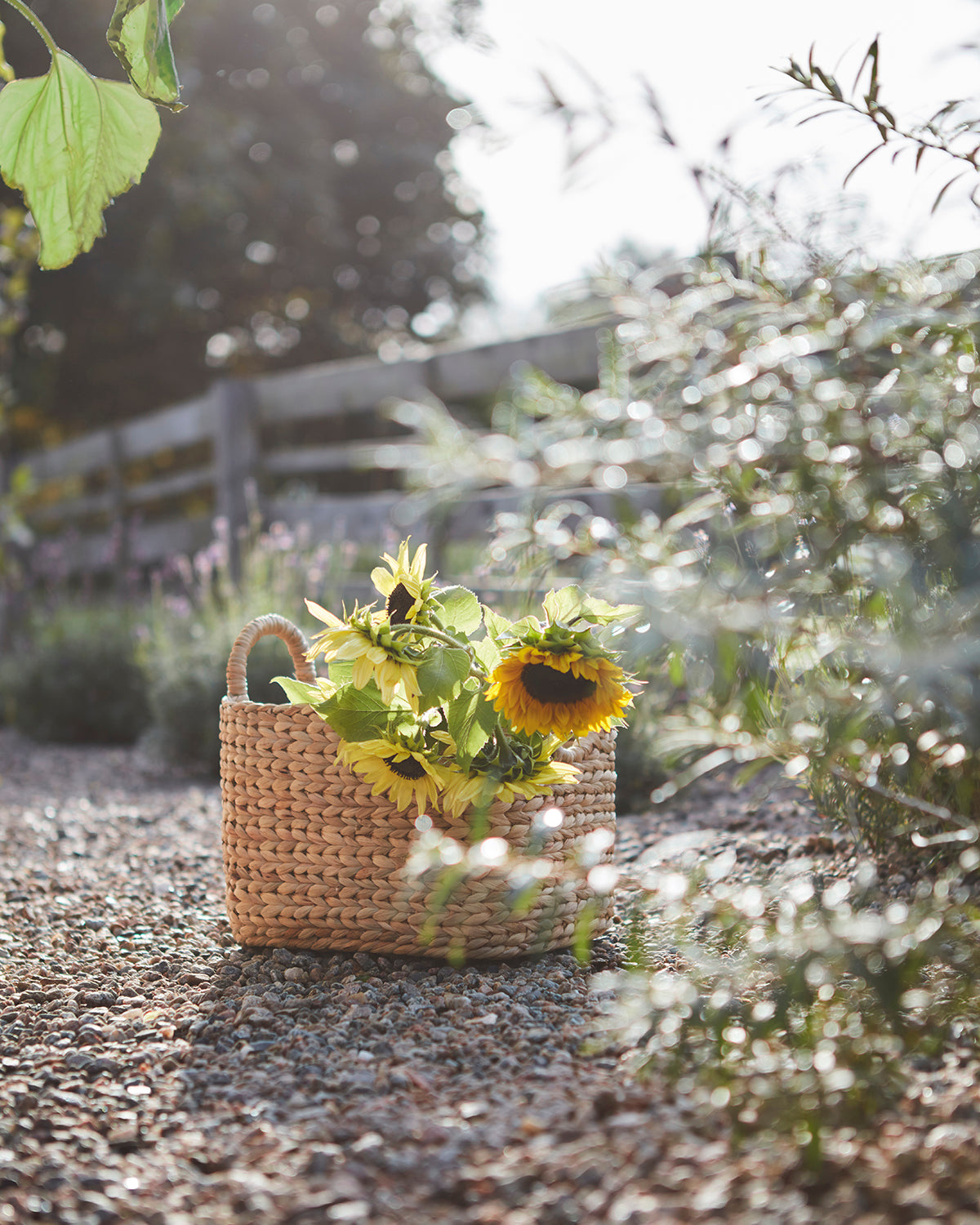 Affari Of Sweden COLLECT Korg, set om 2, Natur