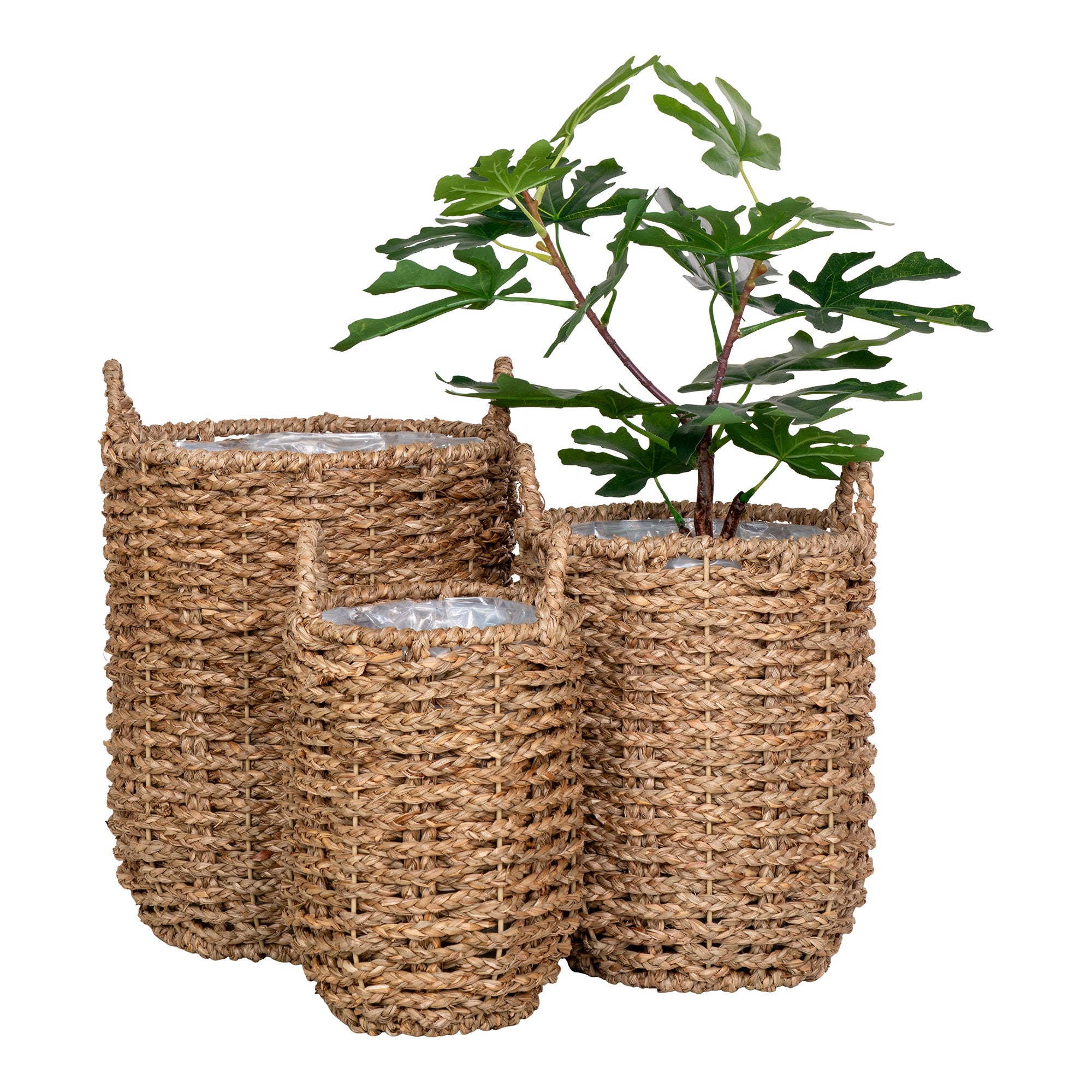 House Nordic Hue Baskets
