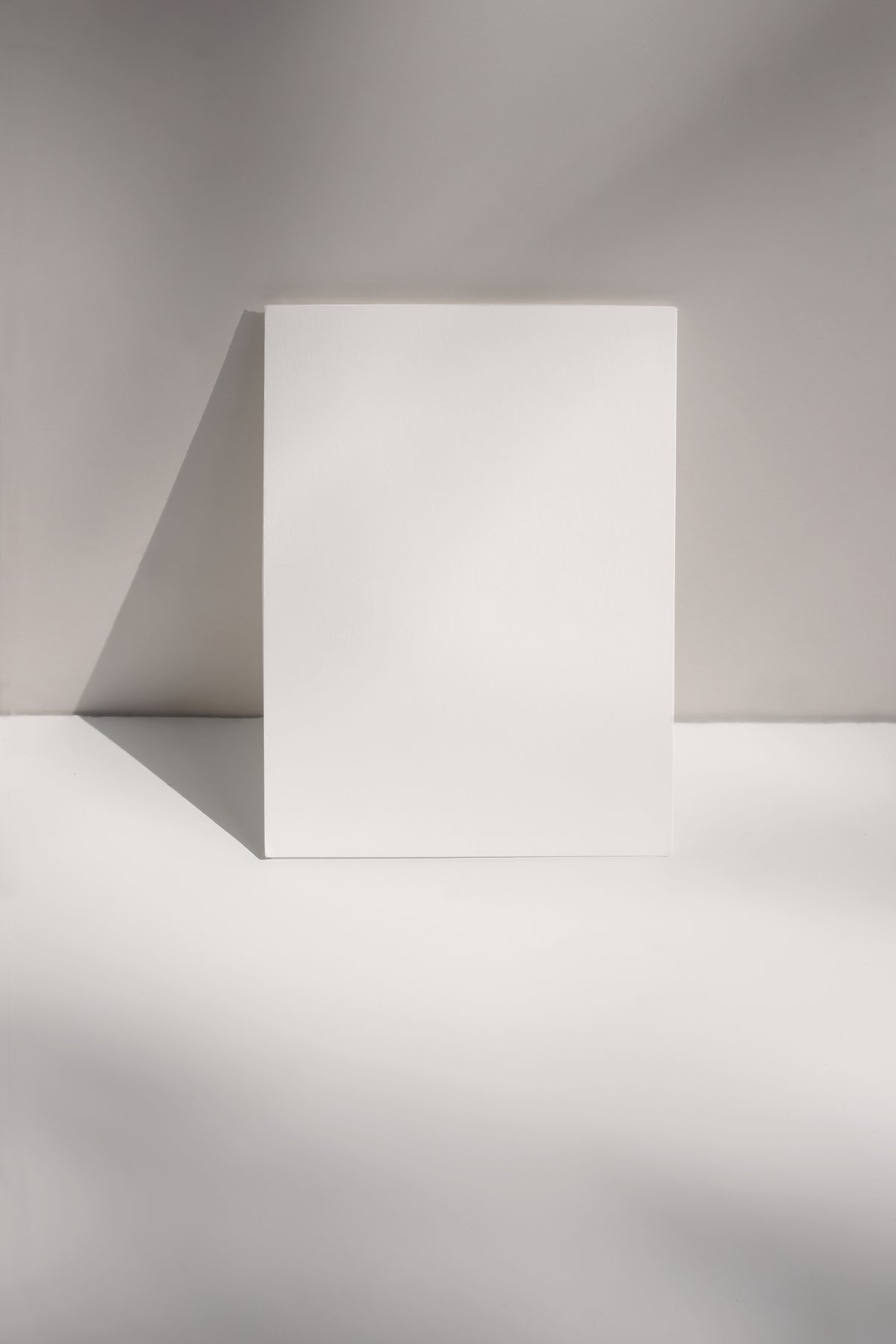 Venture Home Canvas Posters 30x40 Beige