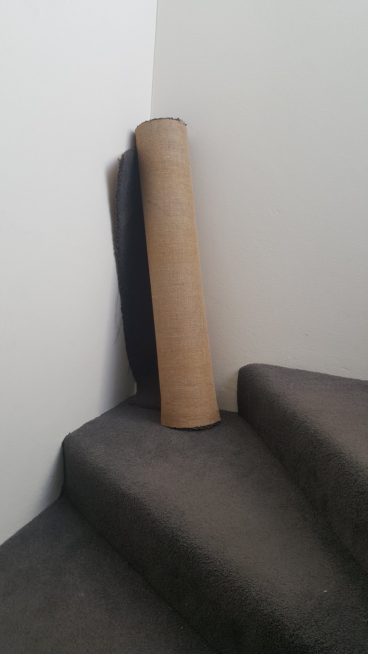 Venture Home Carpet Posters 50x70 Brun