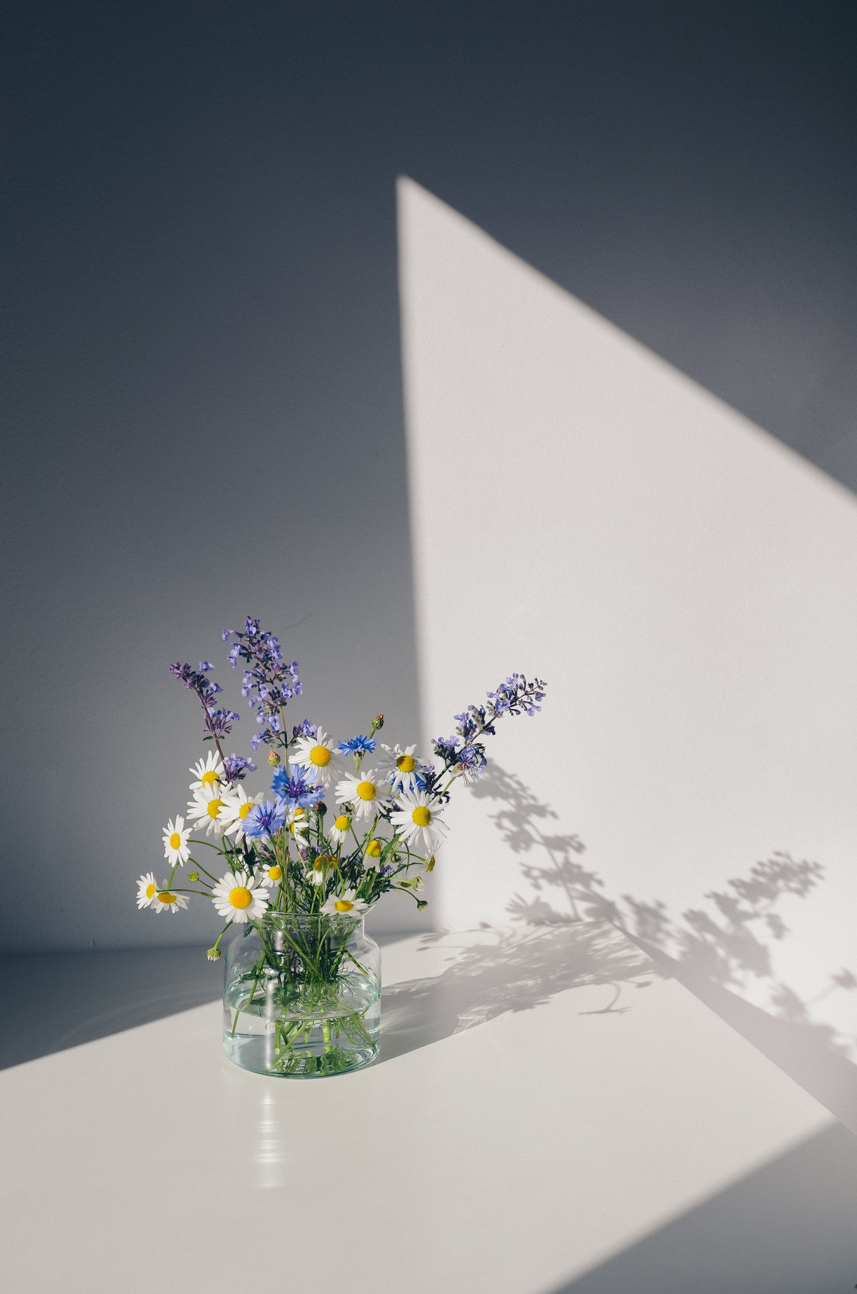 Venture Home Flowers Posters 70x100 Vit