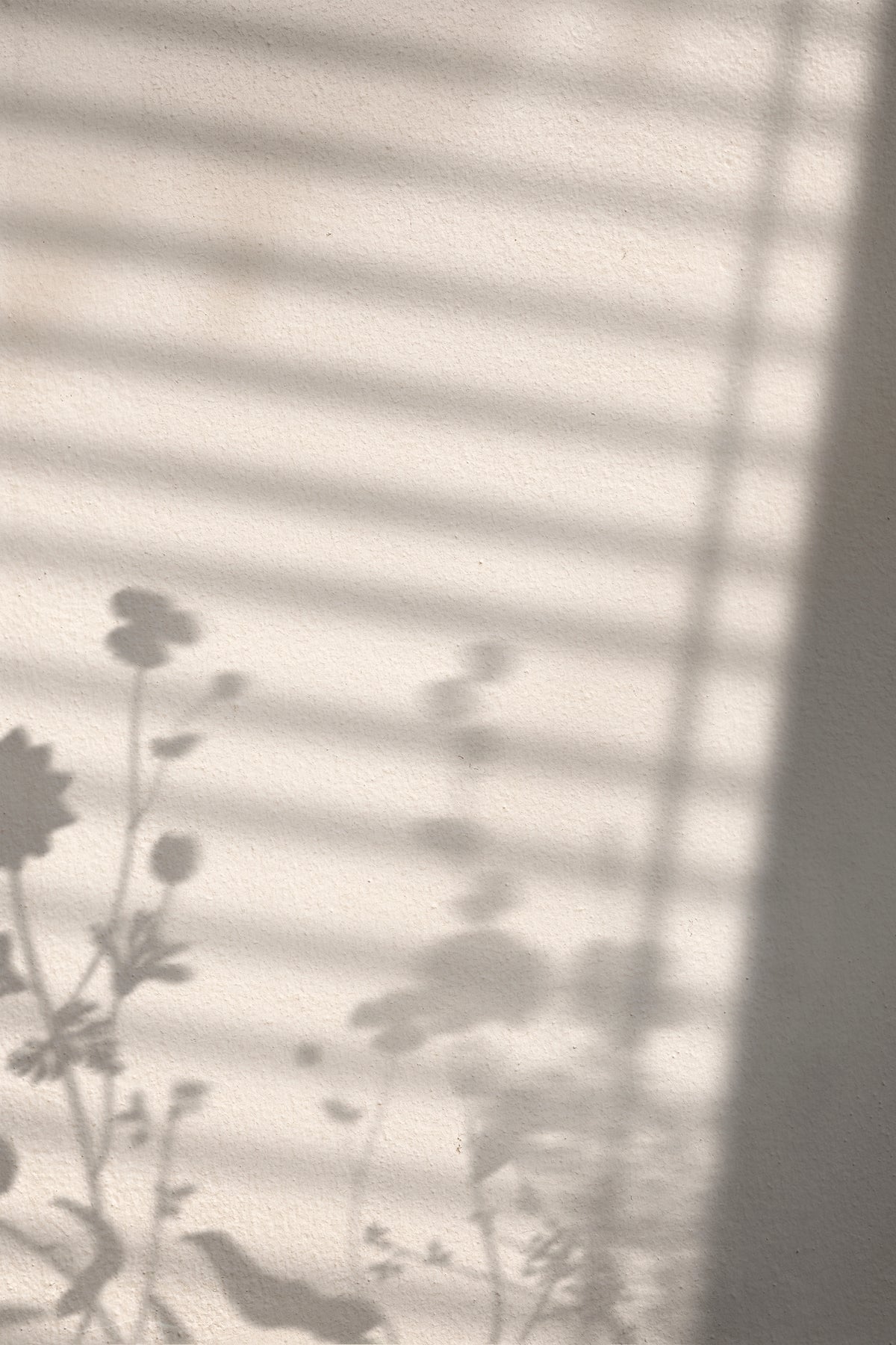 Venture Home Flower Shadow Posters 21x30 Vit