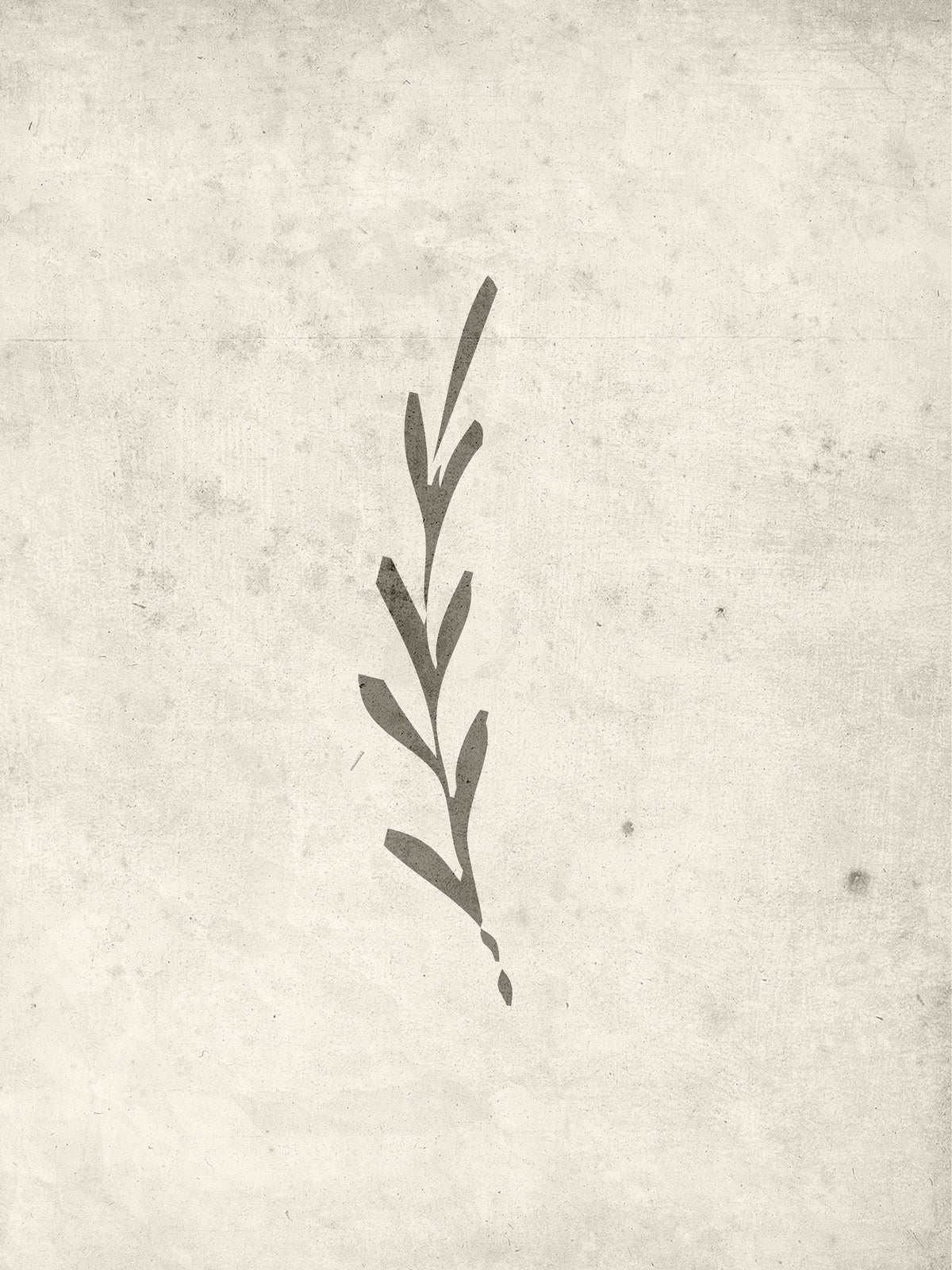 Venture Home Autumn leaf Posters 30x40 Beige