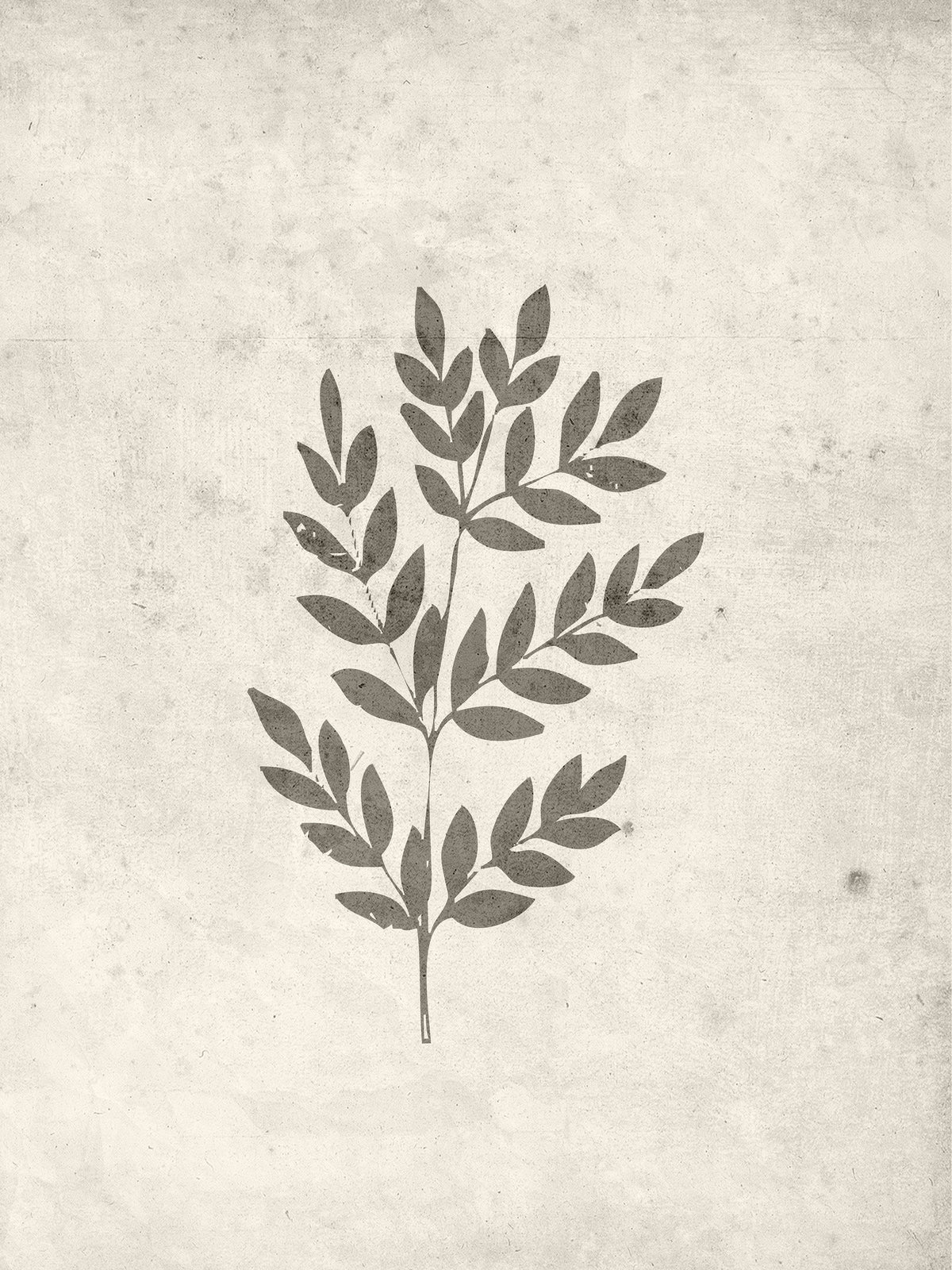 Venture Home Spring leaf Posters 30x40 Beige