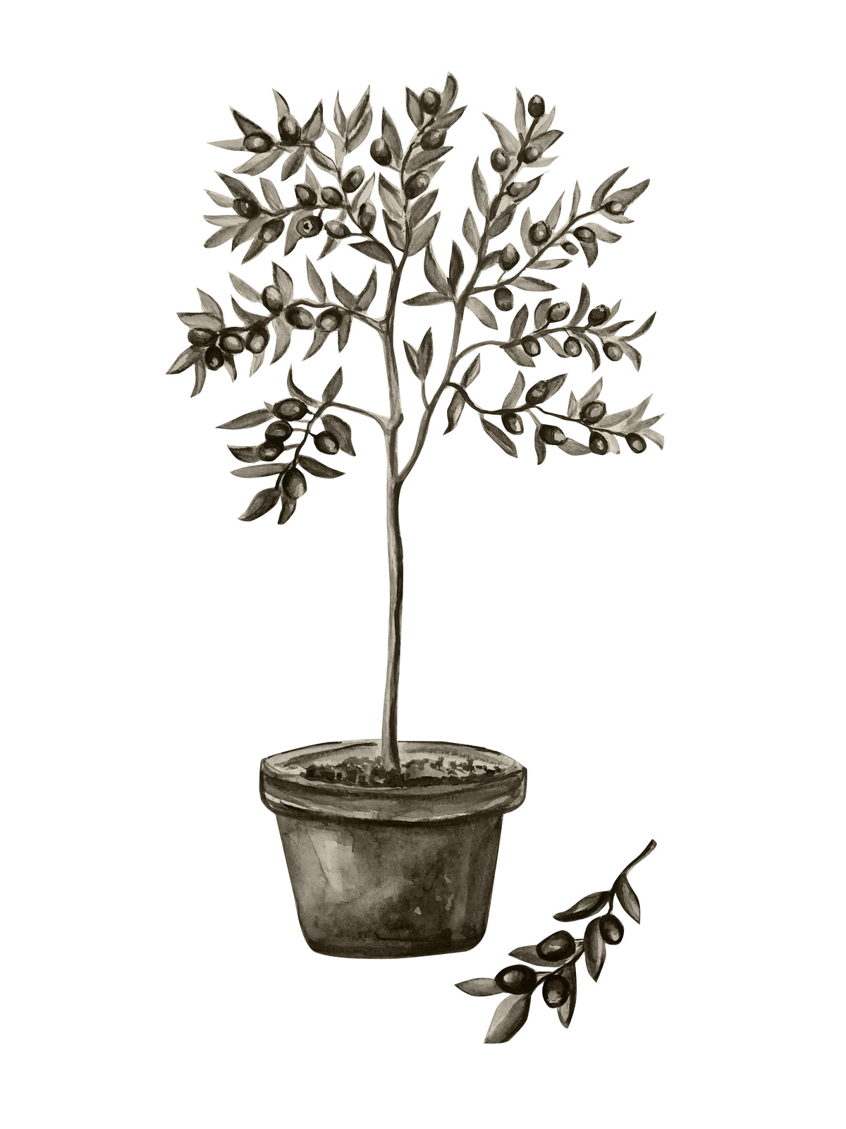 Venture Home Olive Posters 30x40 Grön