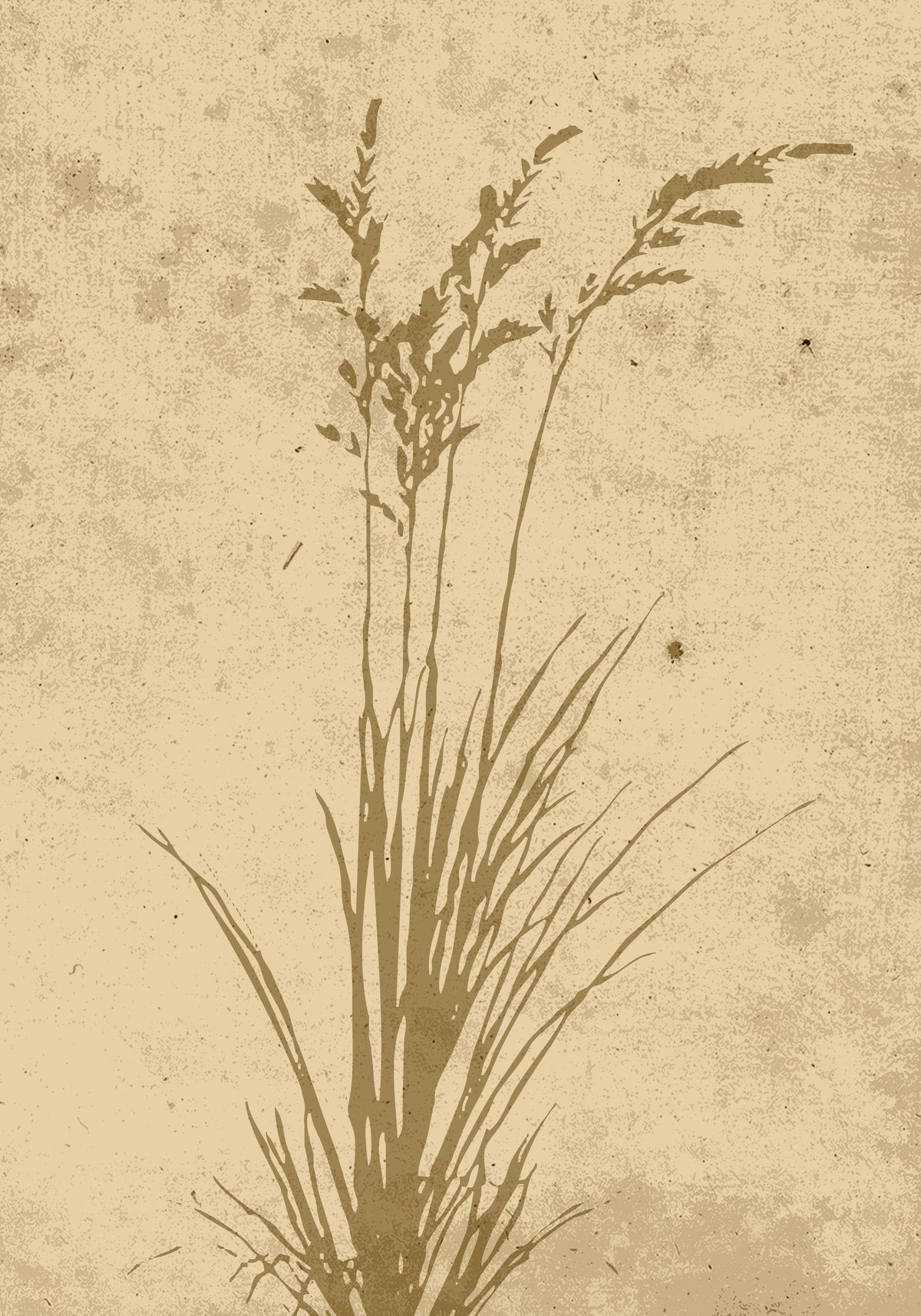 Venture Home Plant art Posters 70x100 Beige