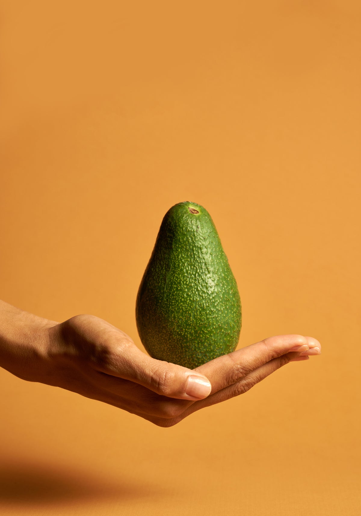 Venture Home Avocado Posters 70x100 Orange
