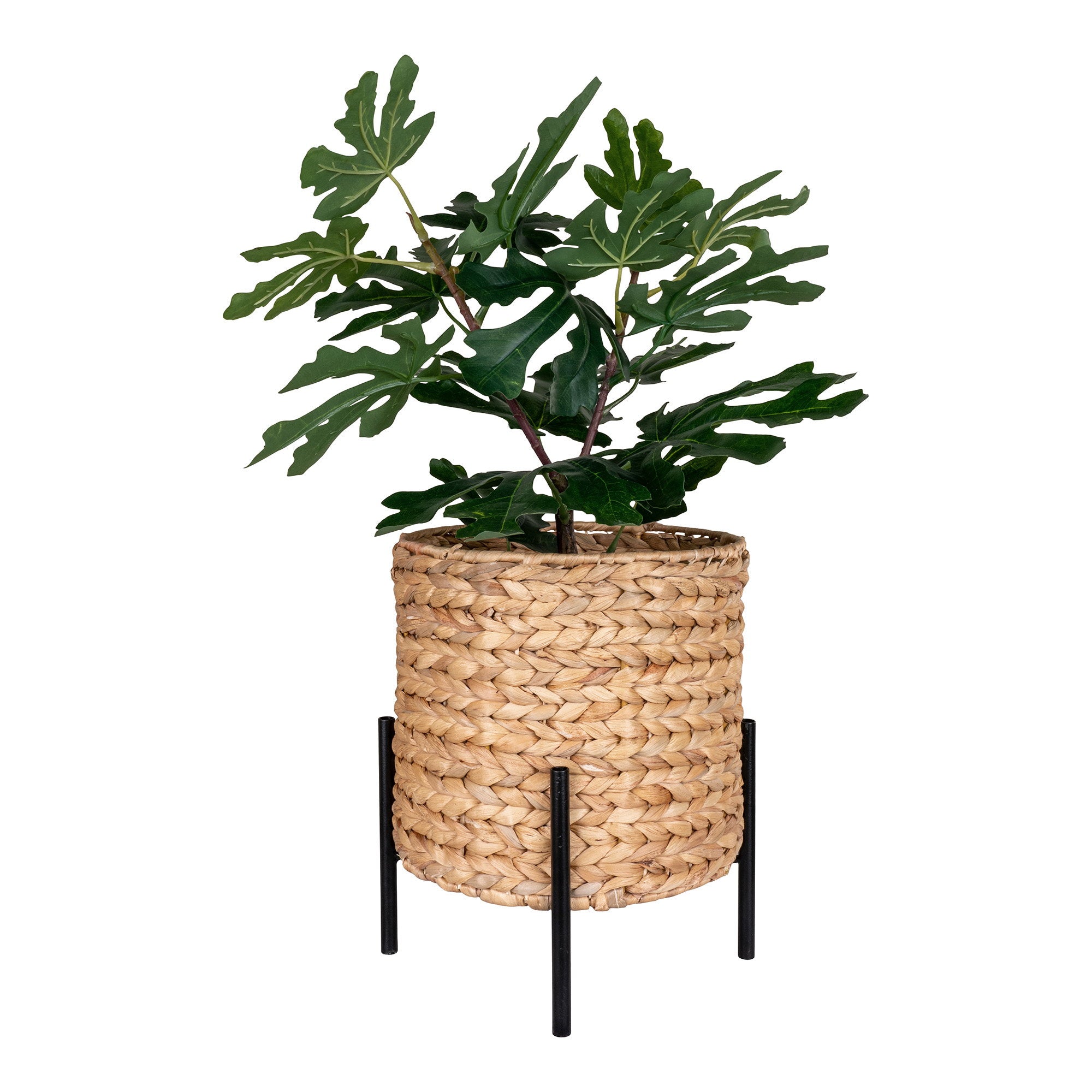House Nordic Antas Blomkruka