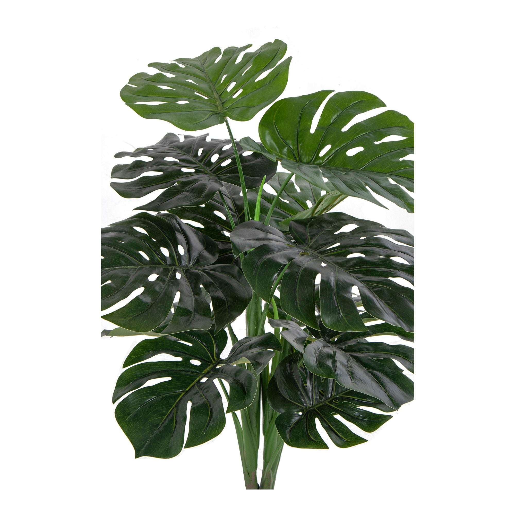 House Nordic Monstera Grön