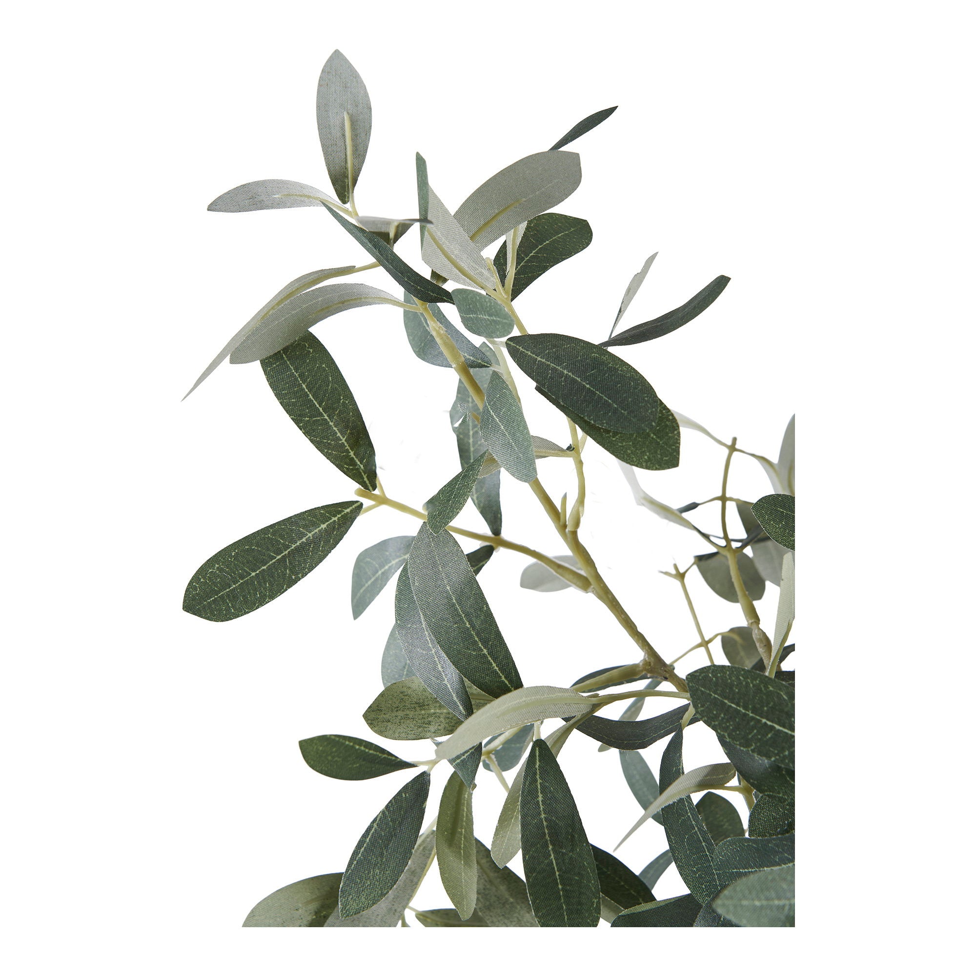 House Nordic Olive Tree Grön