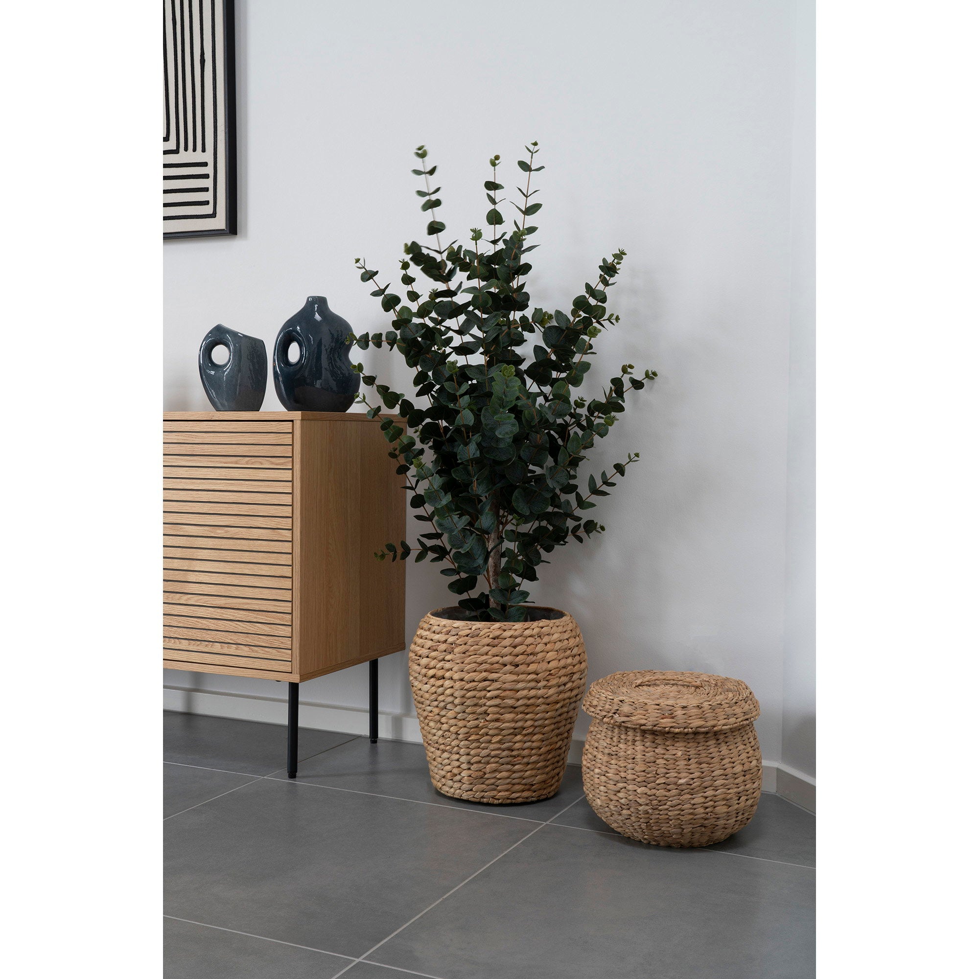 House Nordic Eucalyptus Tree