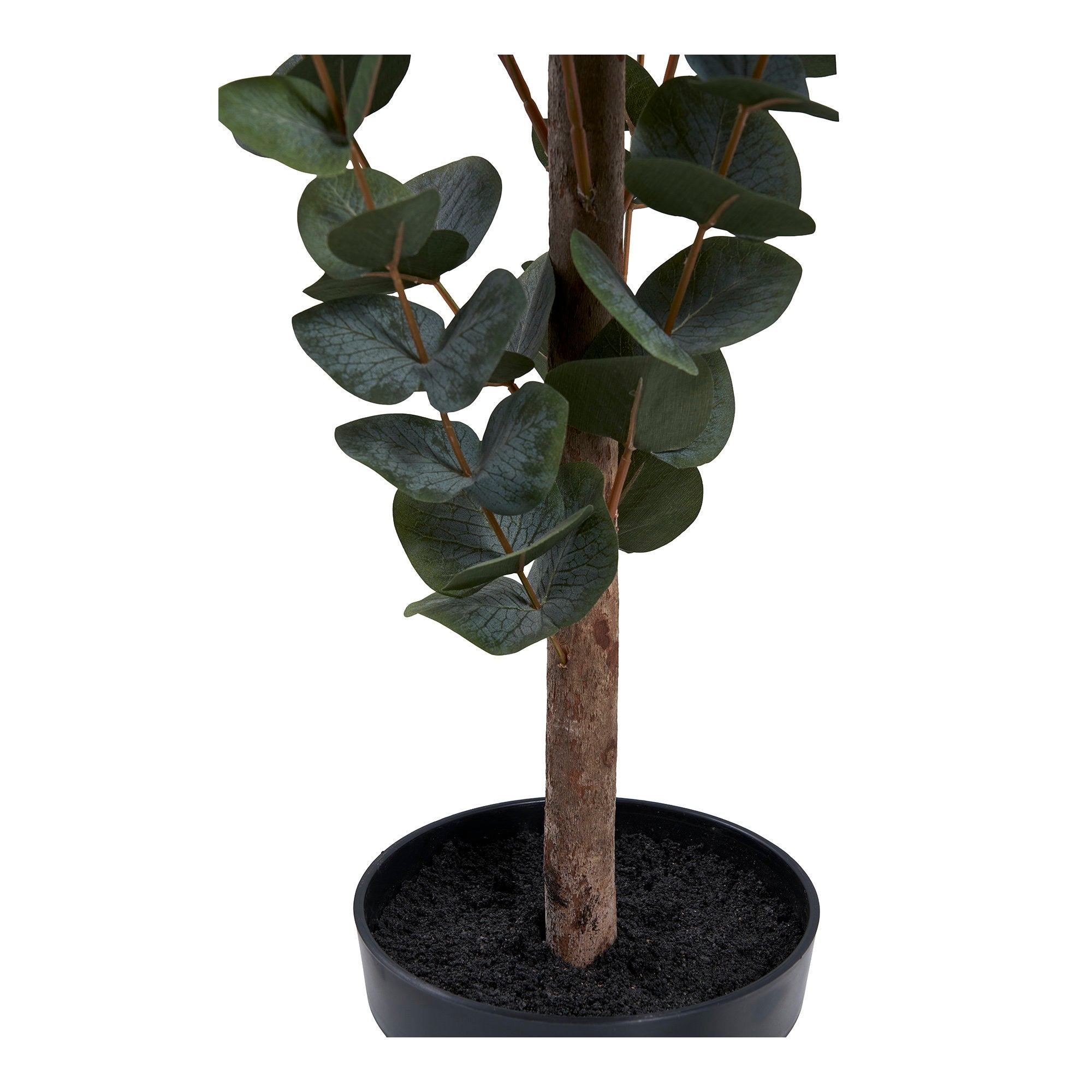 House Nordic Eucalyptus Tree