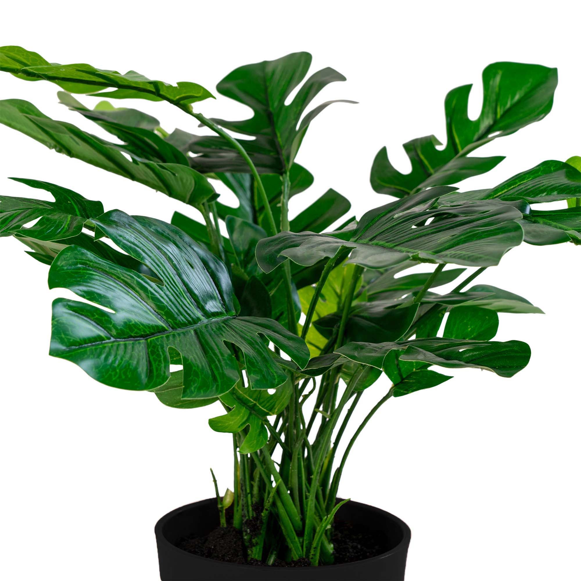 House Nordic Monstera Grön