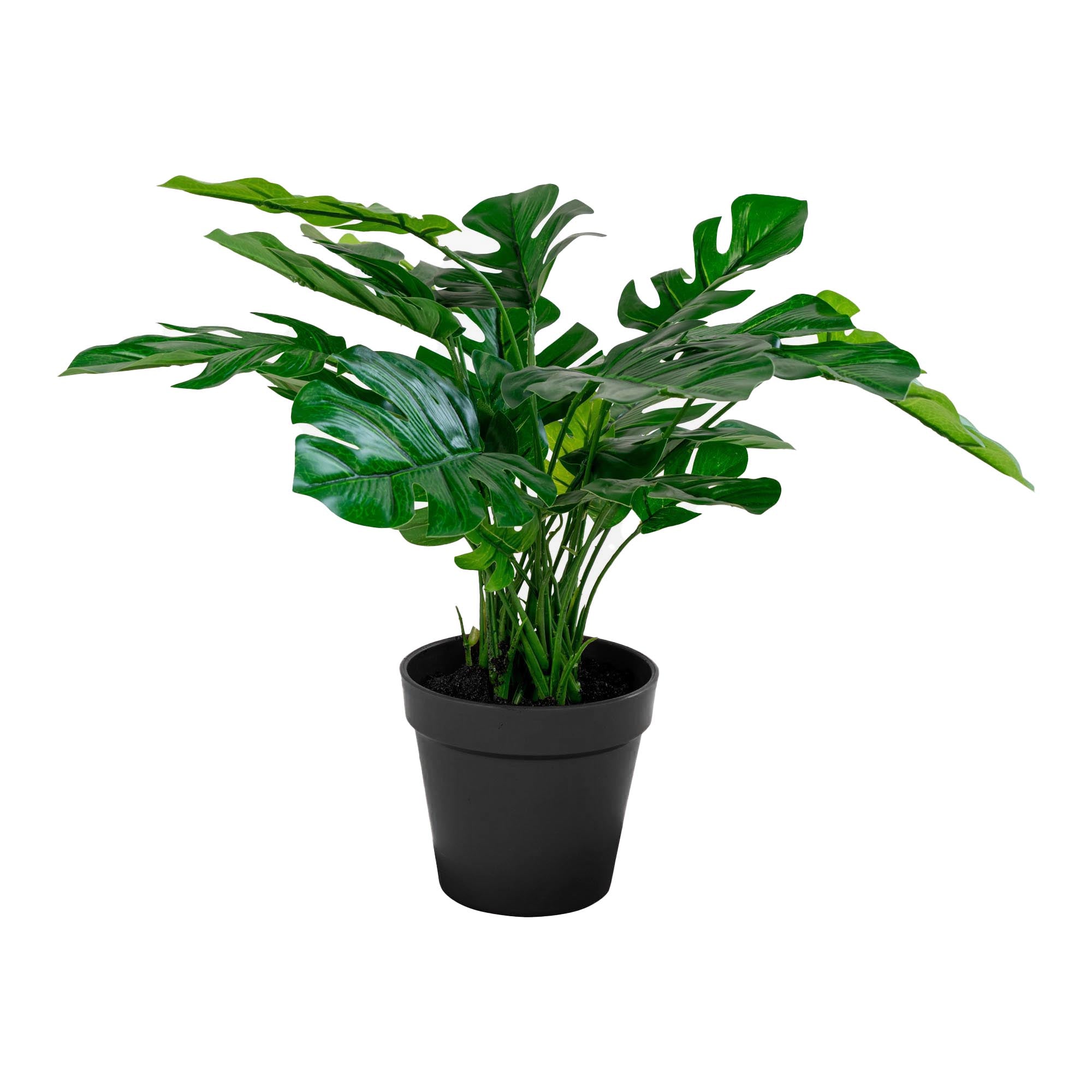 House Nordic Monstera Grön