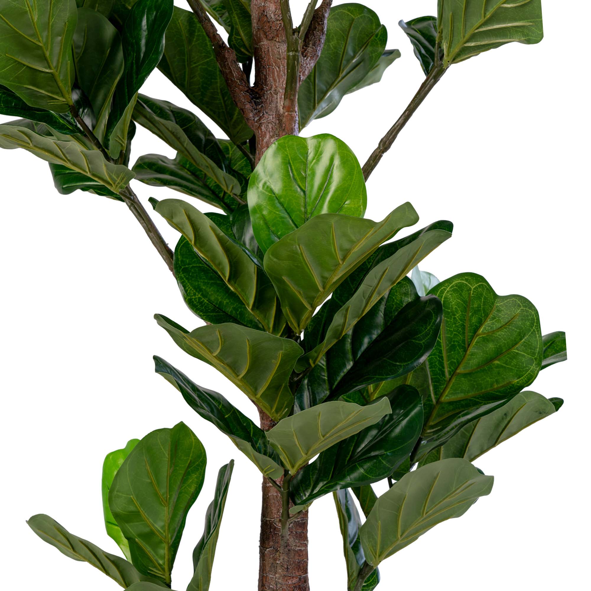 House Nordic Fiddle Leaf Tree Grön