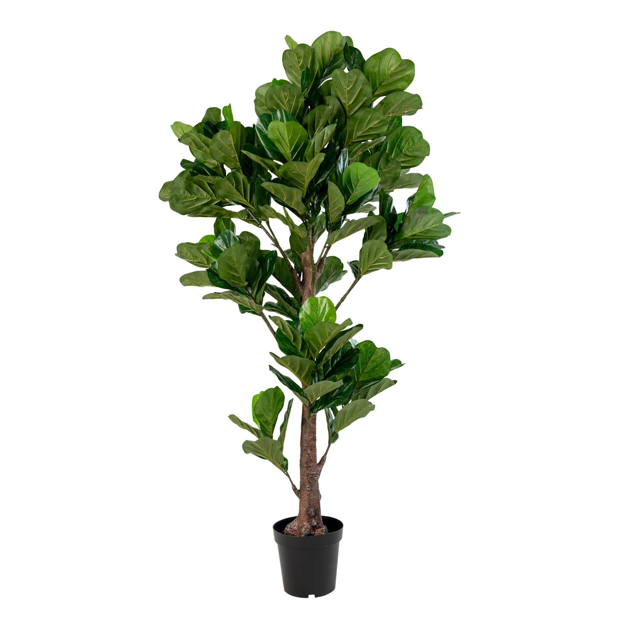 House Nordic Fiddle Leaf Tree Grön