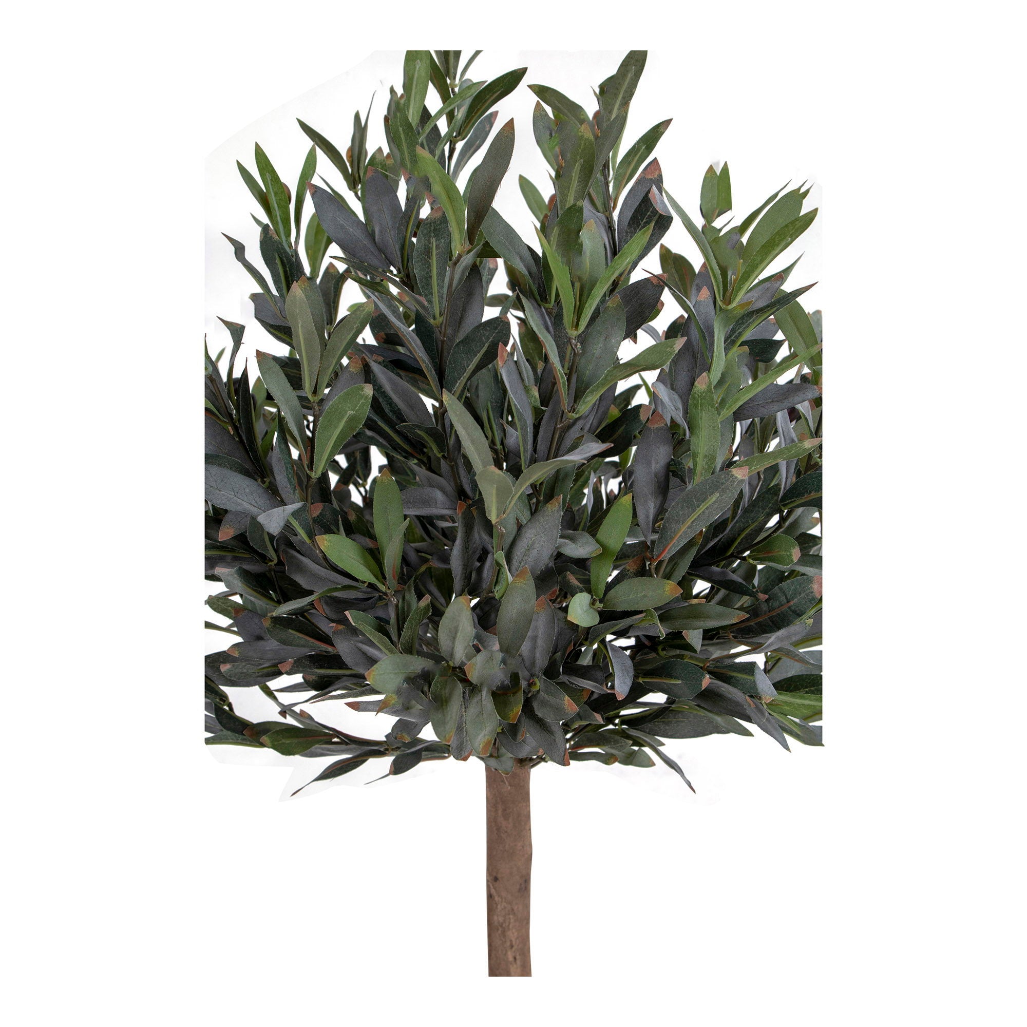 House Nordic Olive Tree Grön