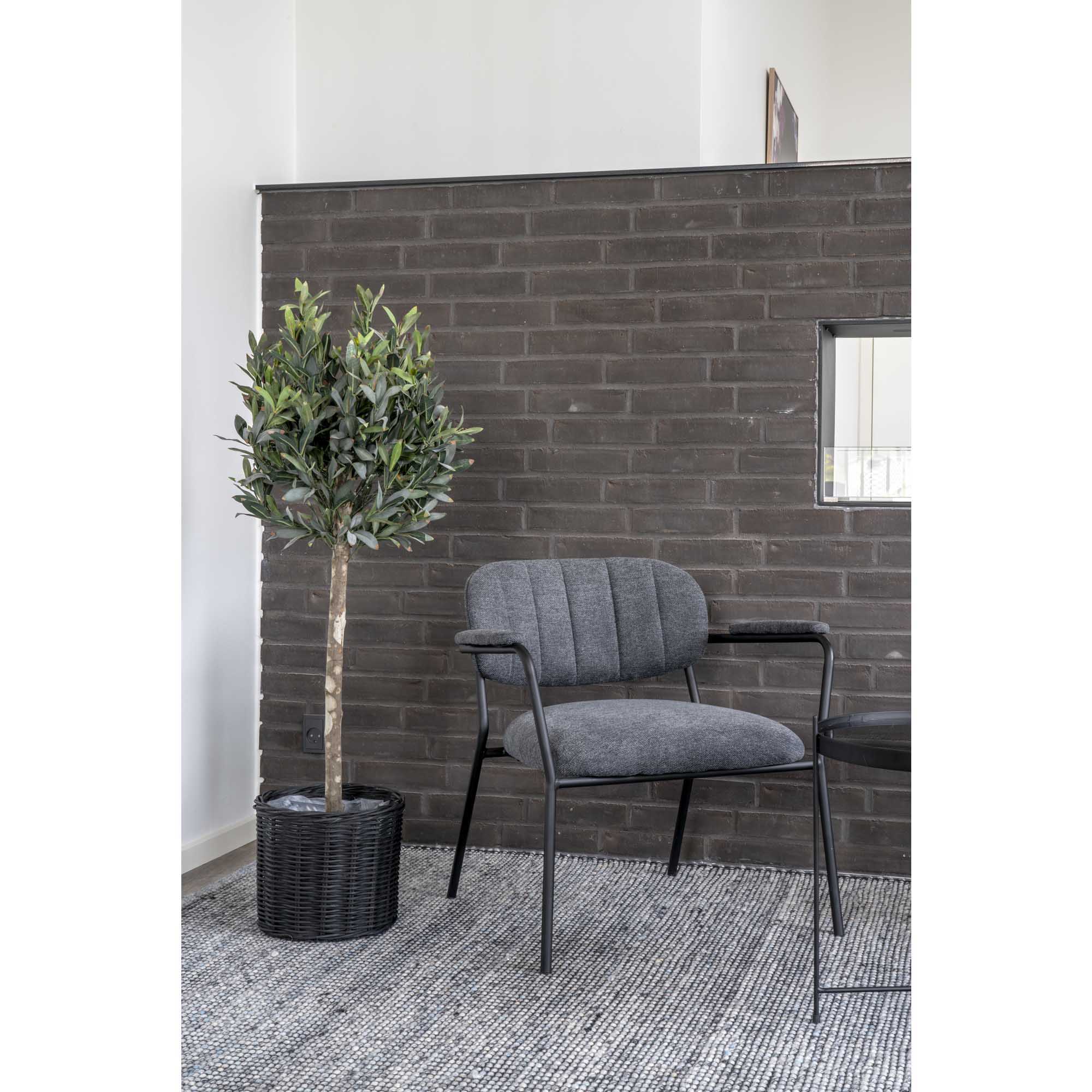 House Nordic Olive Tree Grön