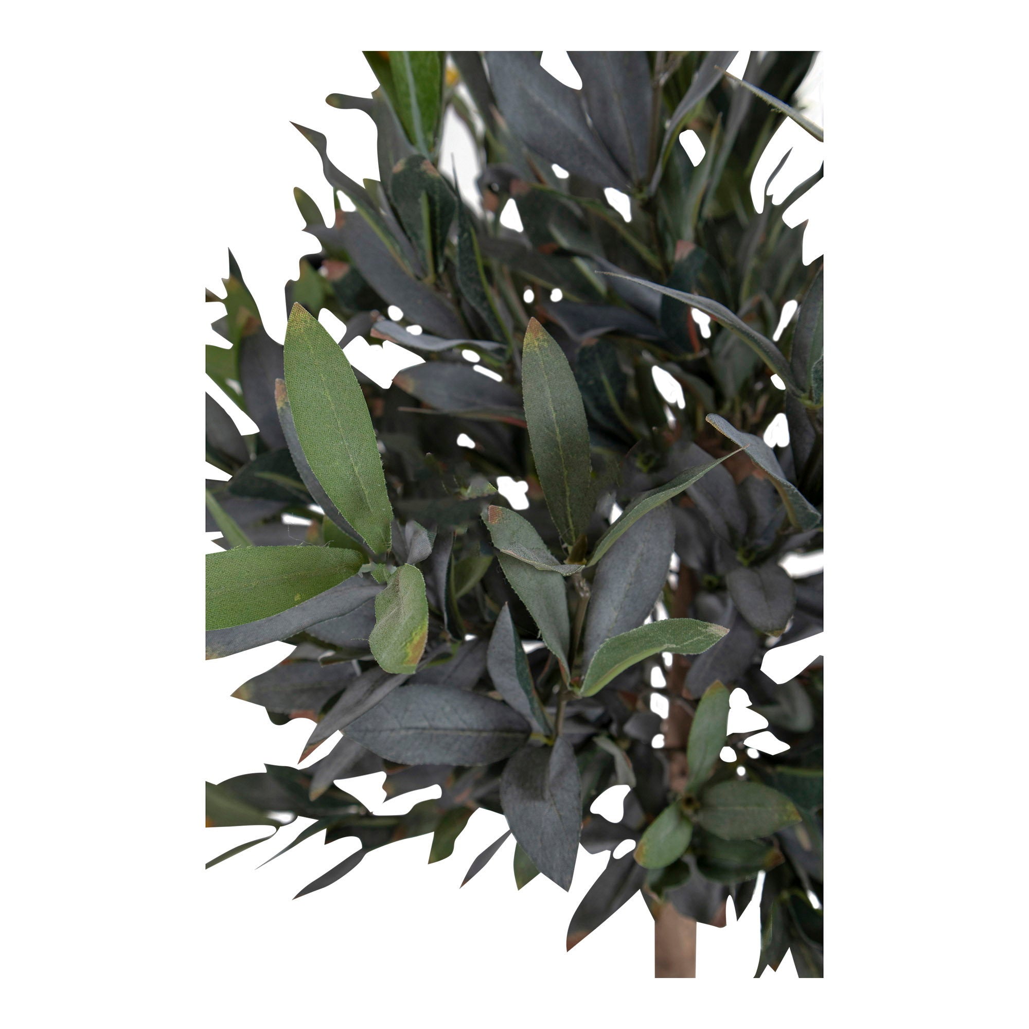 House Nordic Olive Tree Grön