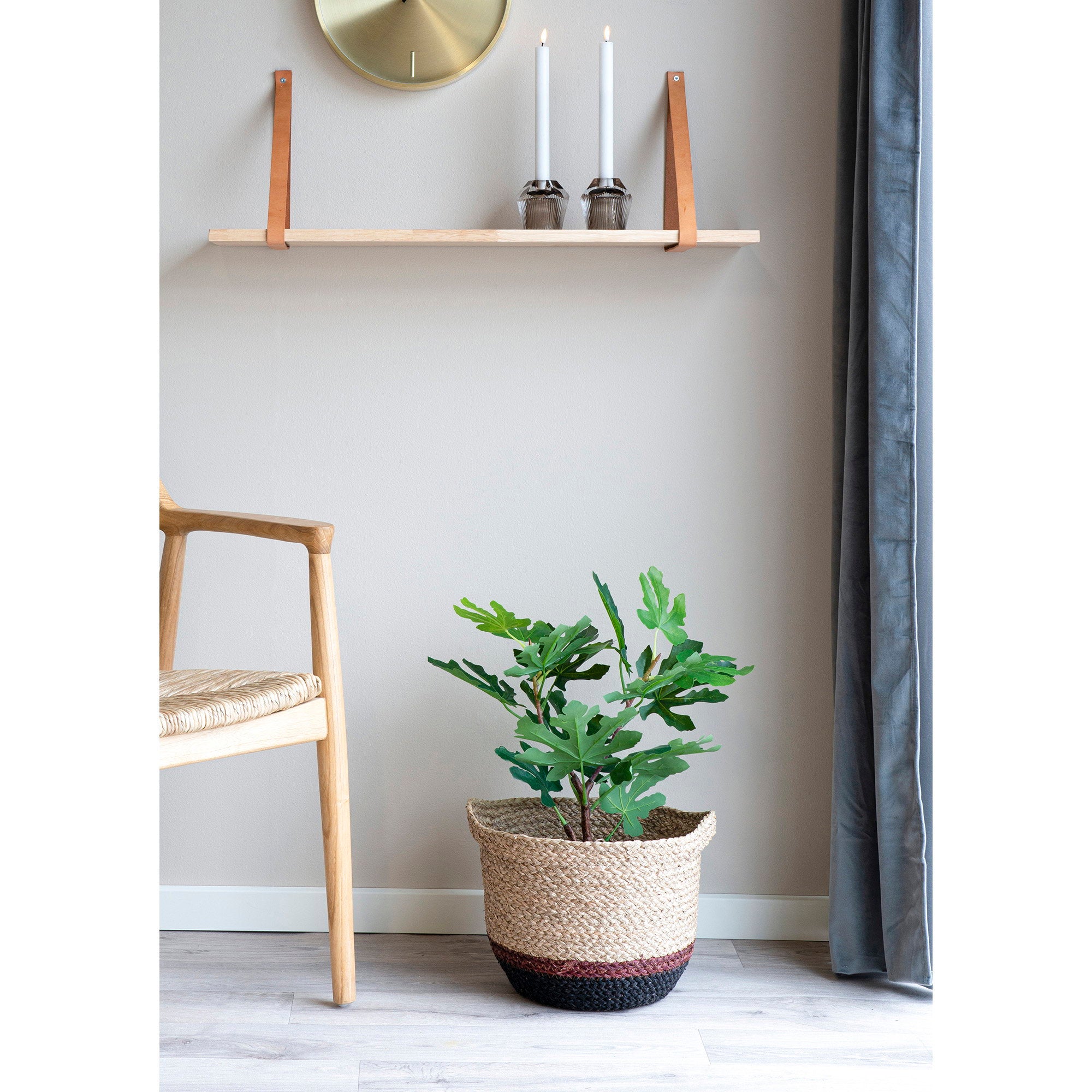 House Nordic Fig Tree