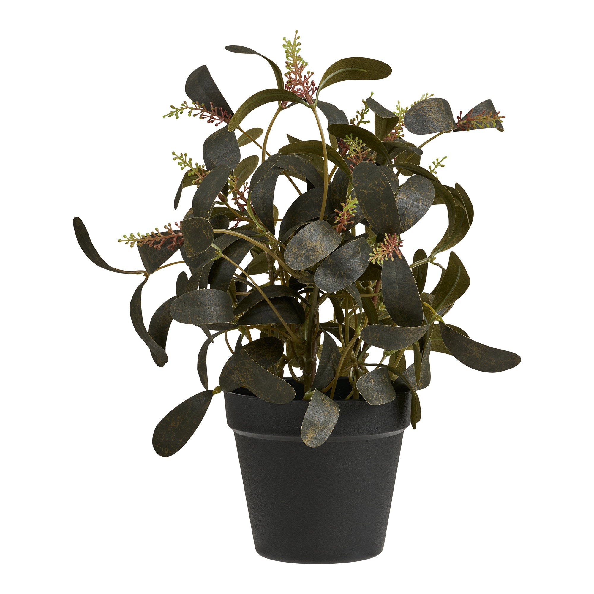 House Nordic Plant Grön