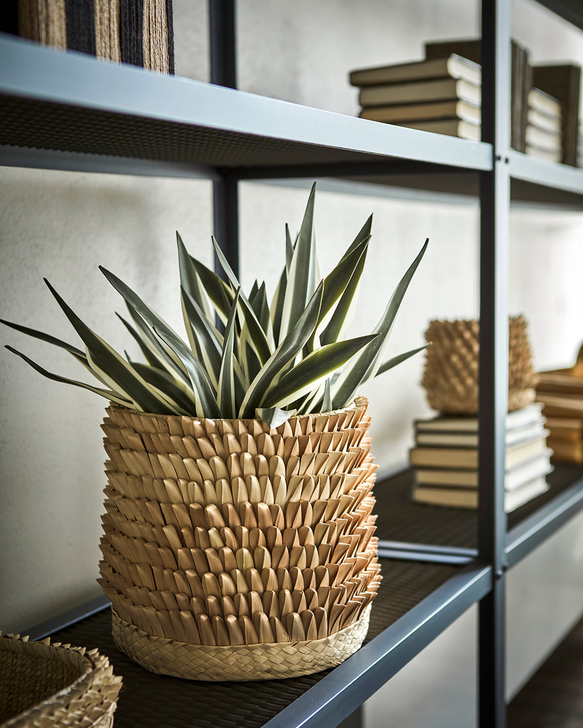 Affari Of Sweden SPIKY Kruka, Natur