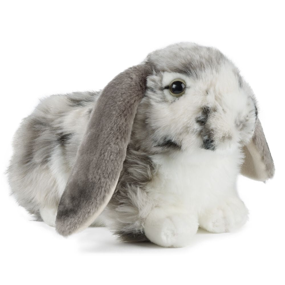 Living Nature grå Dutch Lop Ear