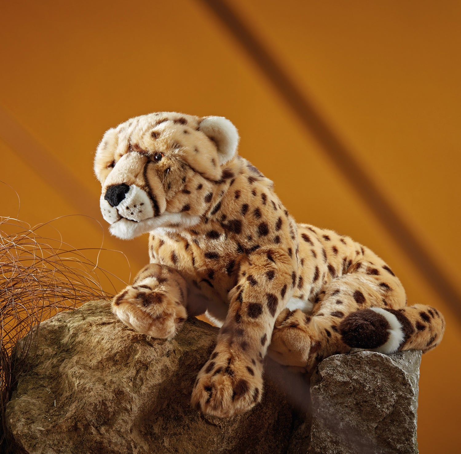 Living Nature Cheetah stor