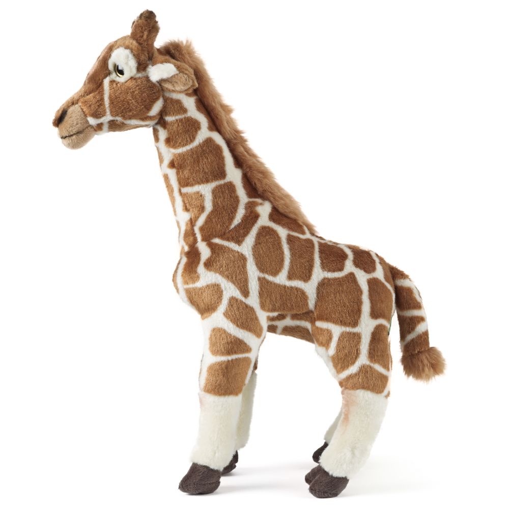 Living Nature giraff stor