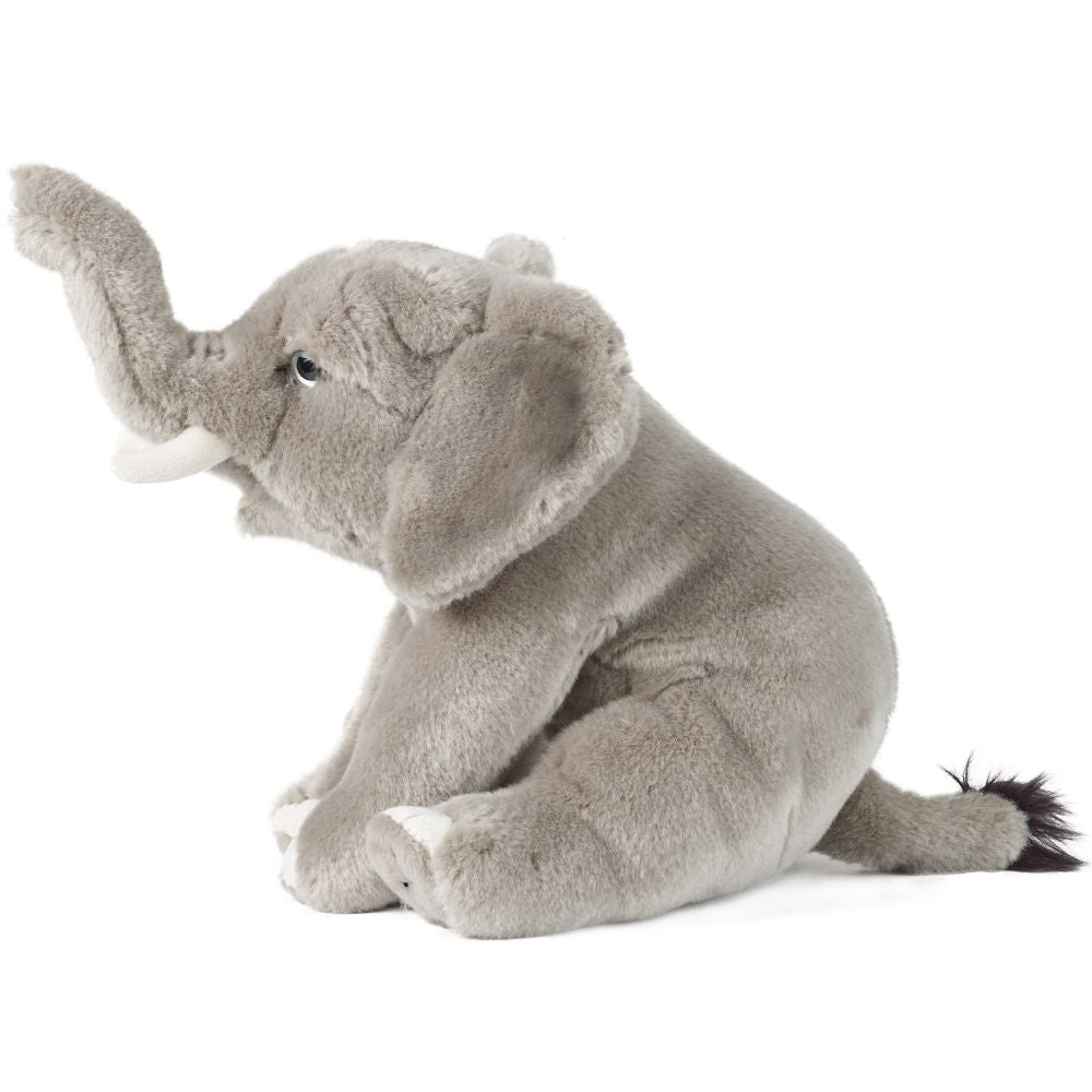 Living Nature elefant