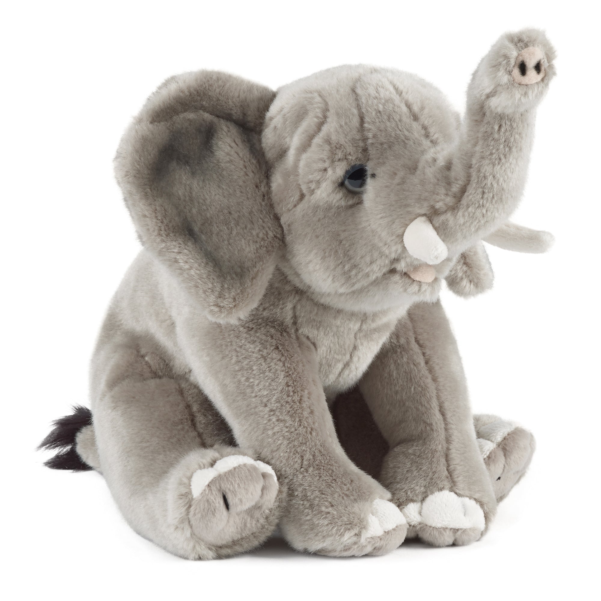 Living Nature elefant