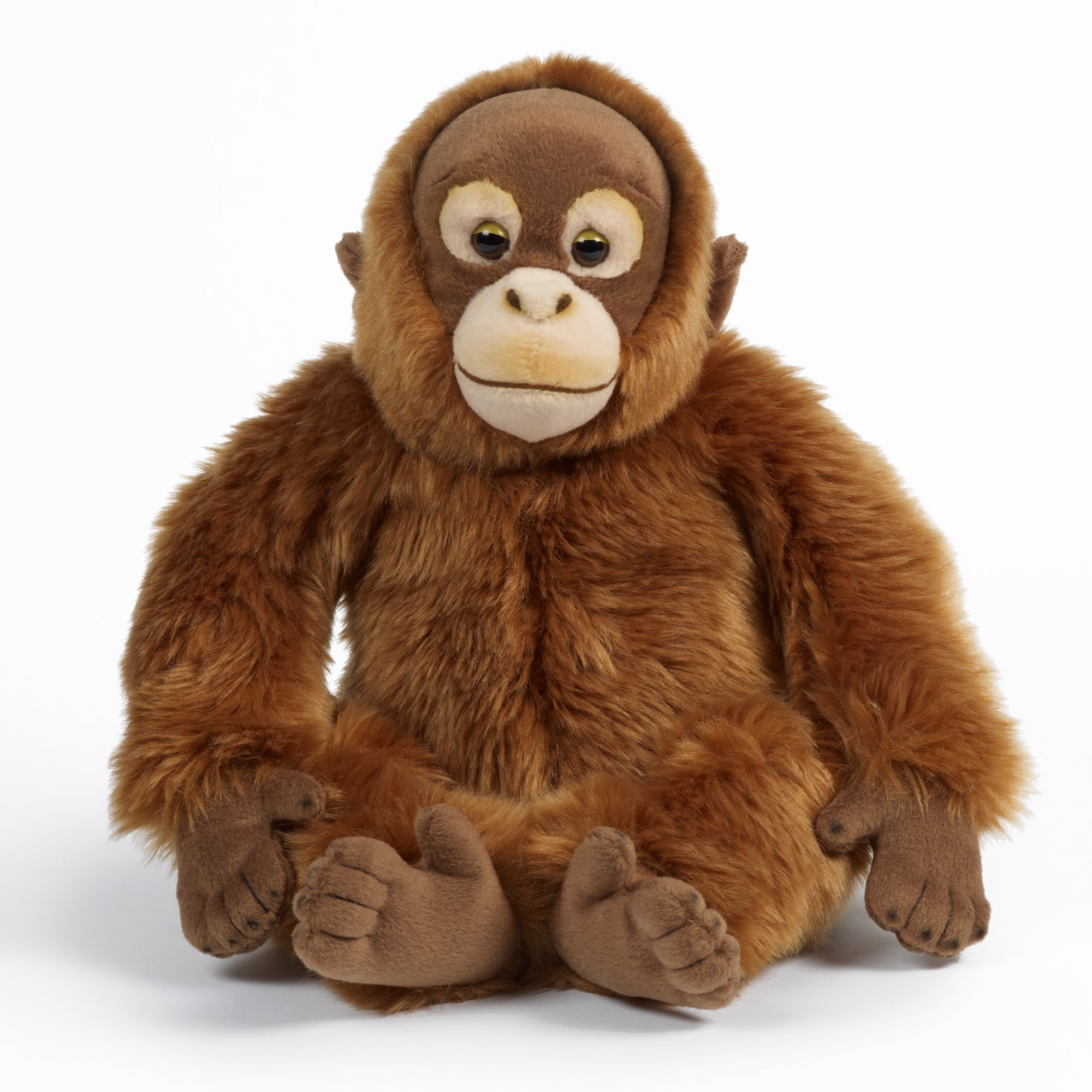 Living Nature Orangutang