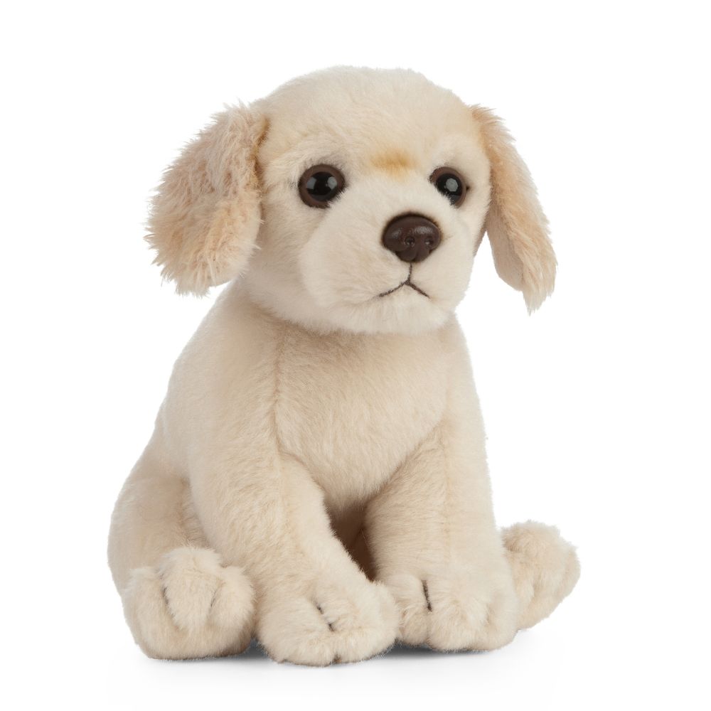 Living Nature Golden Retriever Puppy