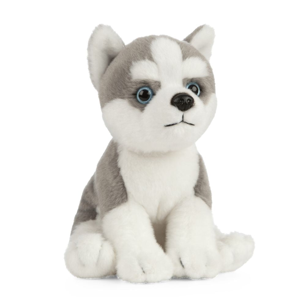 Living Nature Husky Puppy