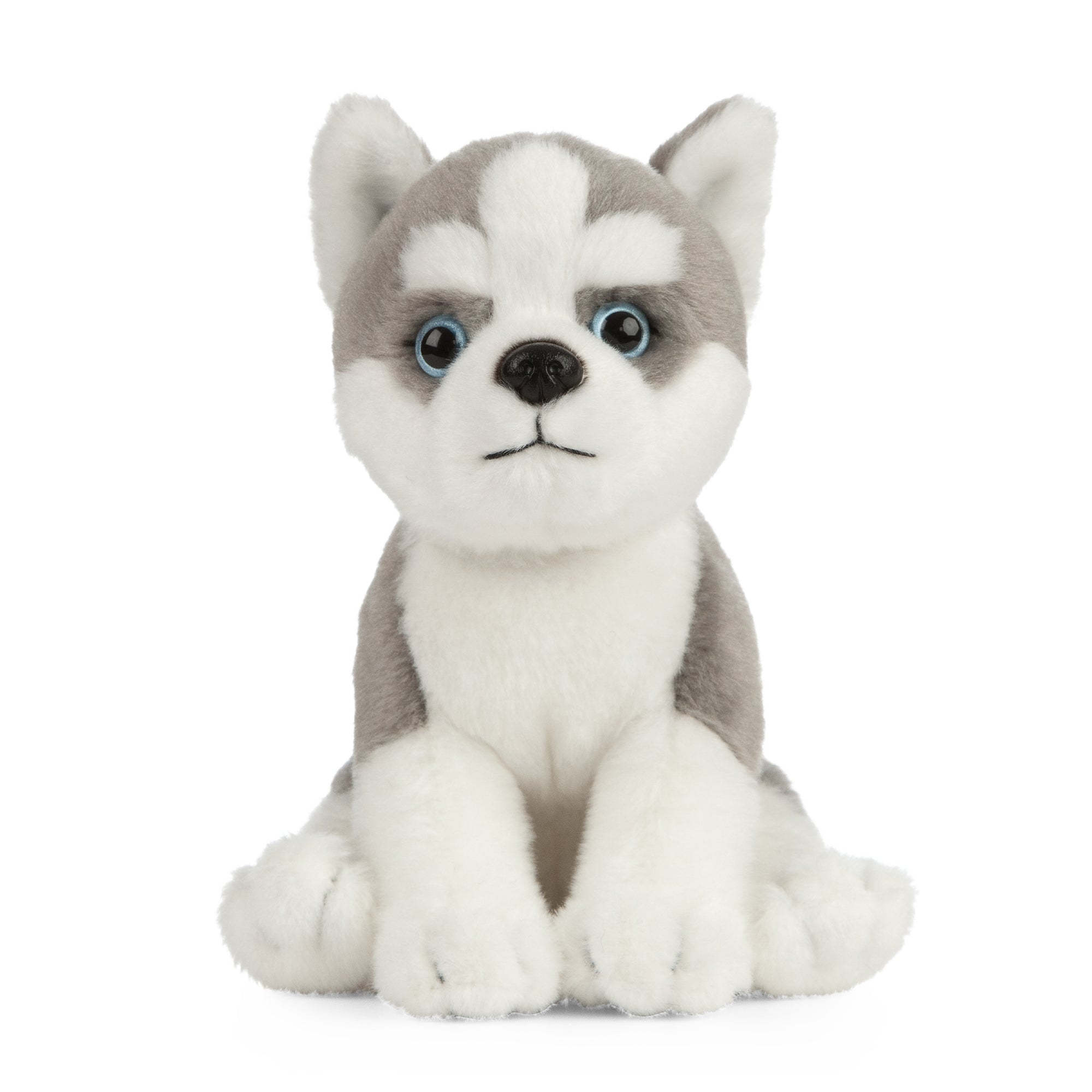 Living Nature Husky Puppy