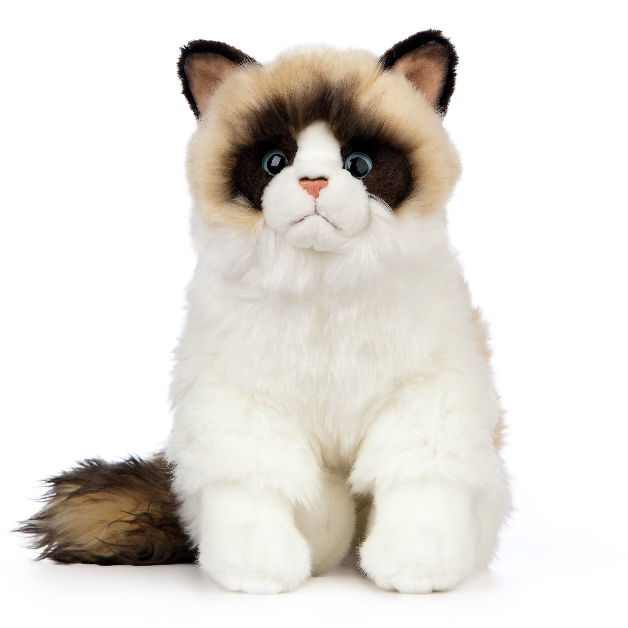 Living Nature Ragdoll katt
