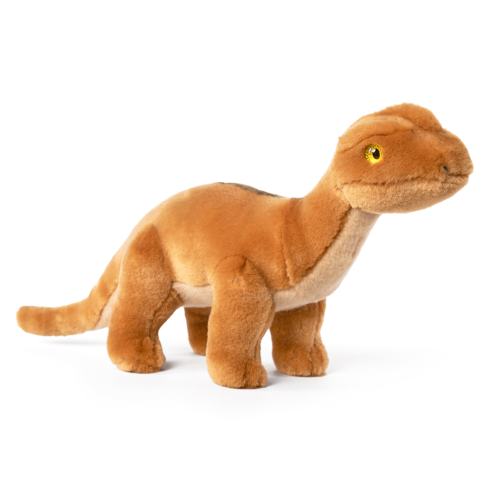 Living Nature Diplodocus
