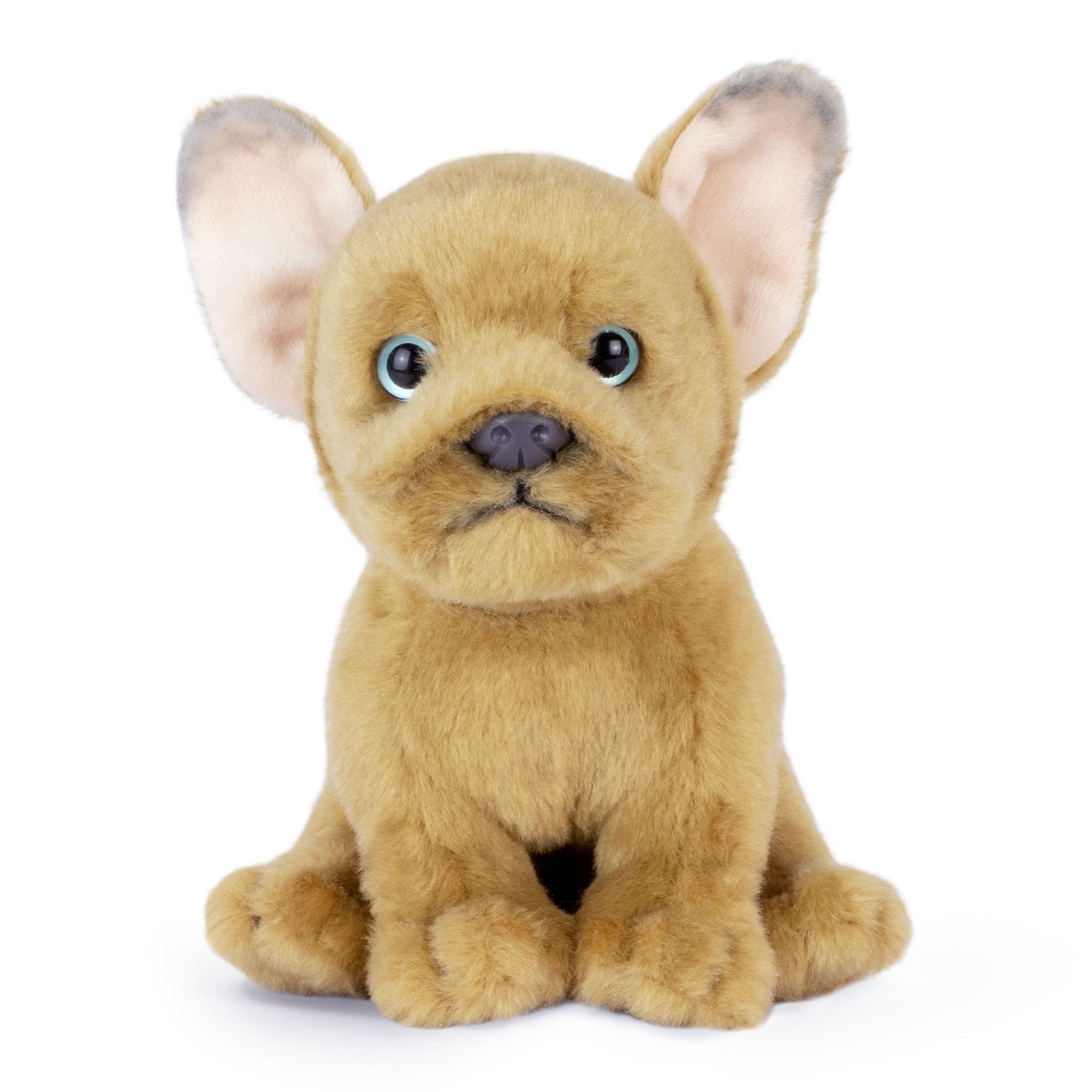 Living Nature French Bulldog Puppy Sand