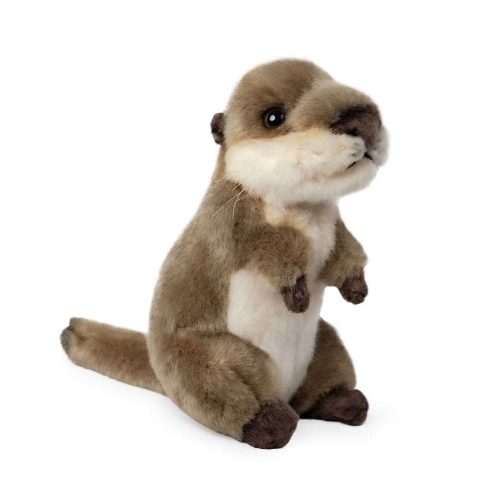 Living Nature Otter Cub