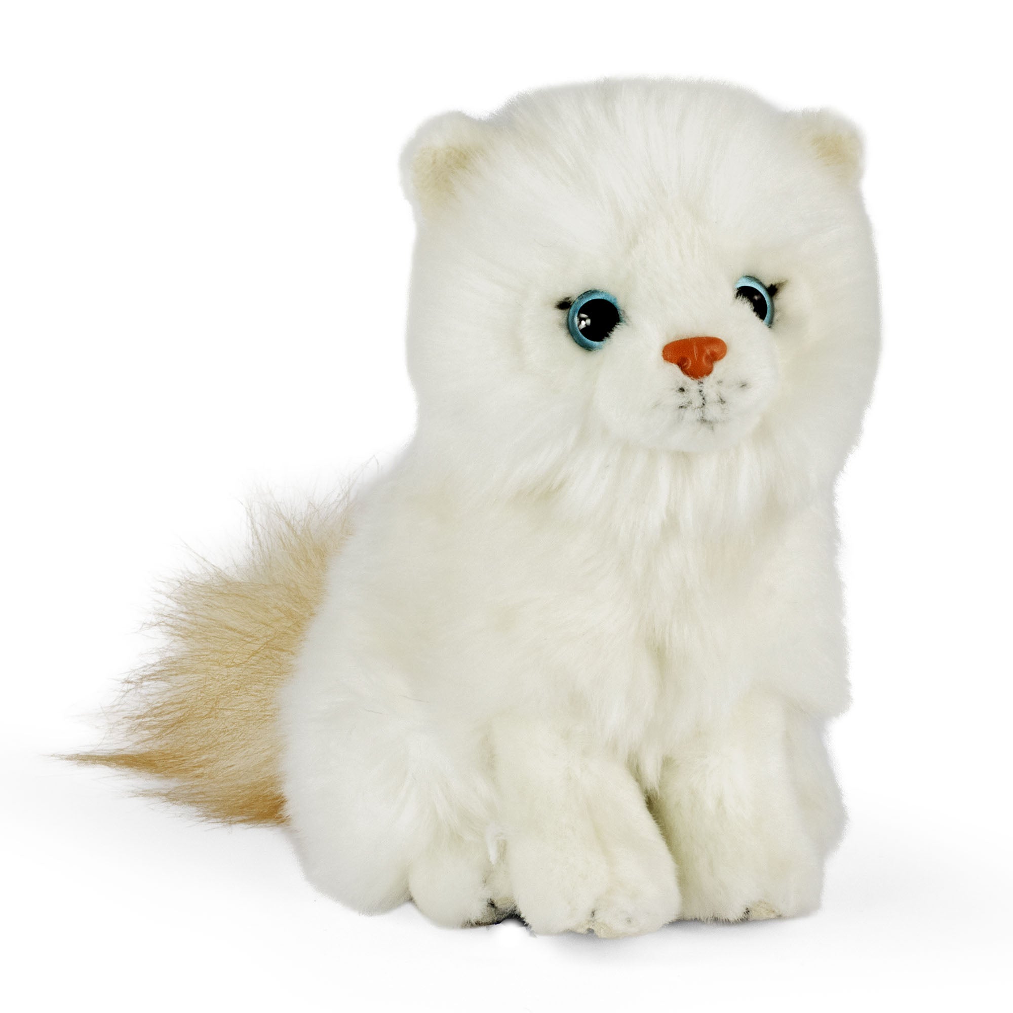 Living Nature Sitting Ragdoll Kitten