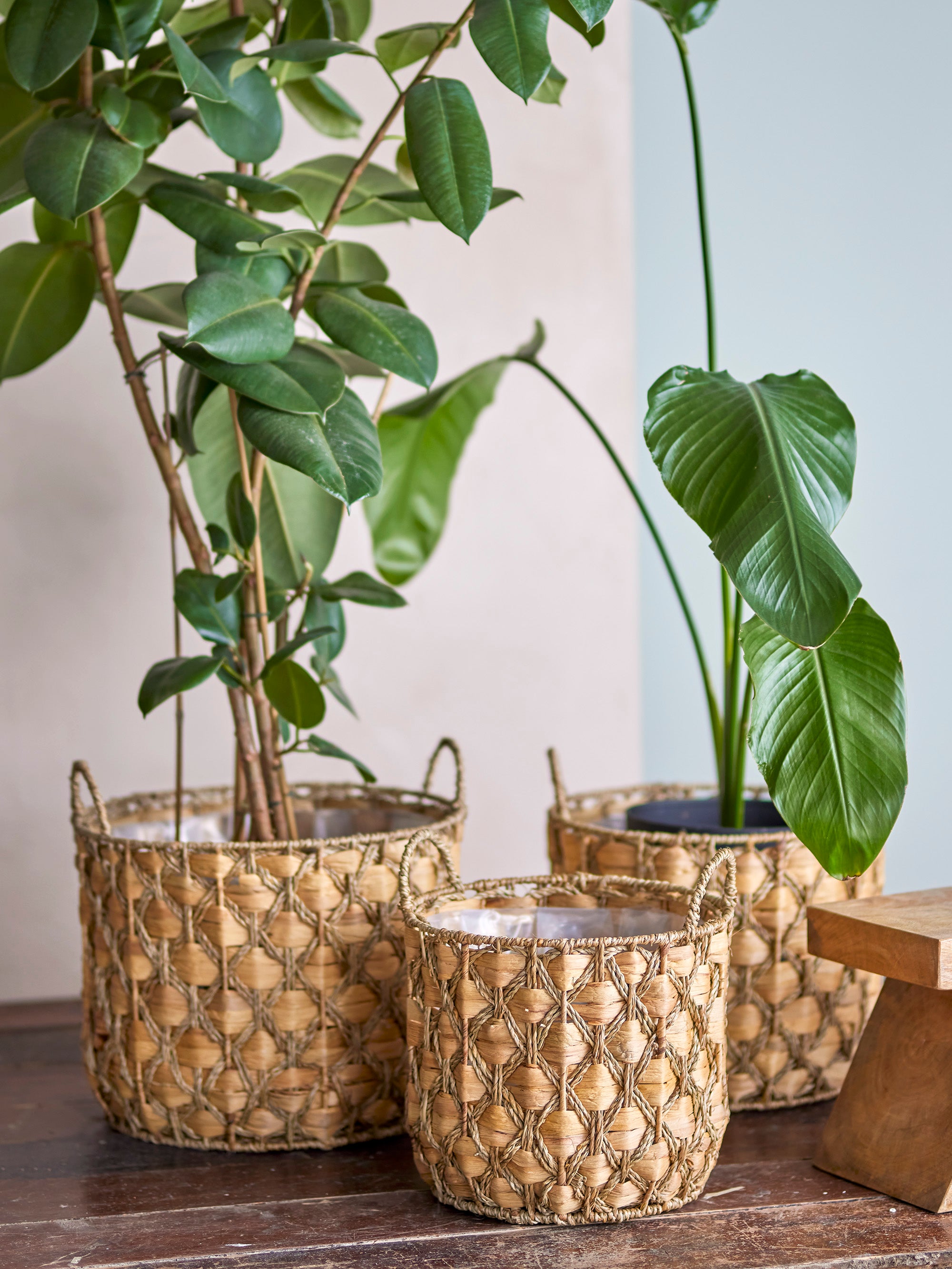 Creative Collection JOLEEN Korg, Natur, Vattenhyacint, set om 3