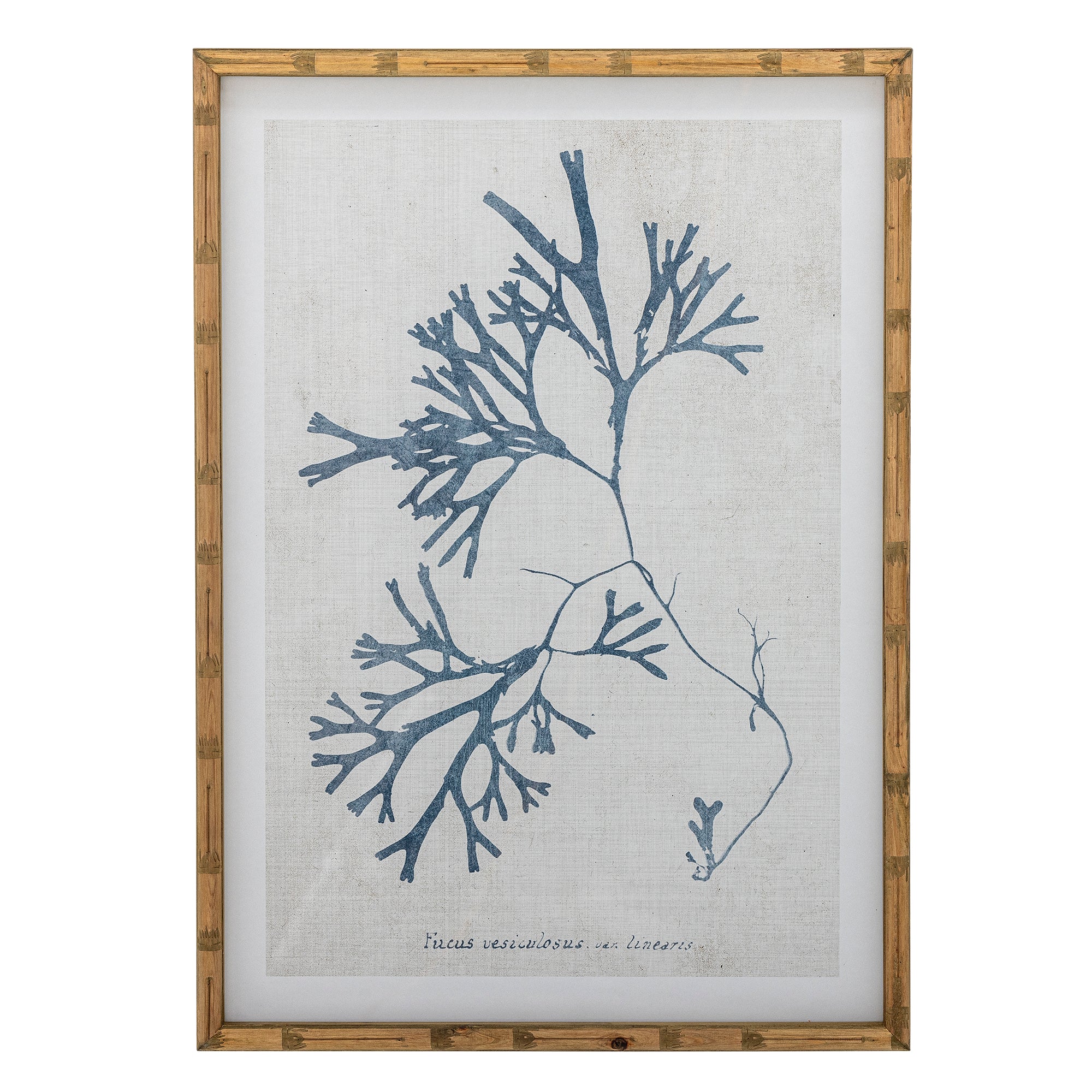 Creative Collection SUMNER Illustration med Ram, Natur, Furu