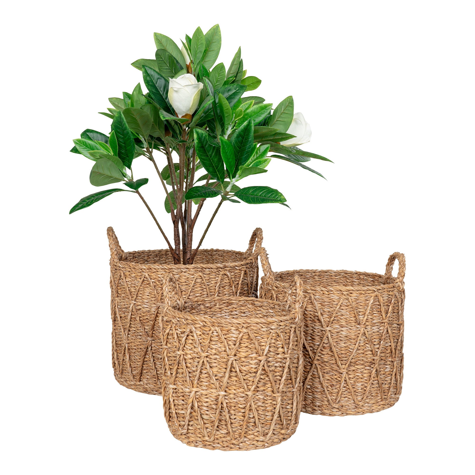 House Nordic Krabi Baskets