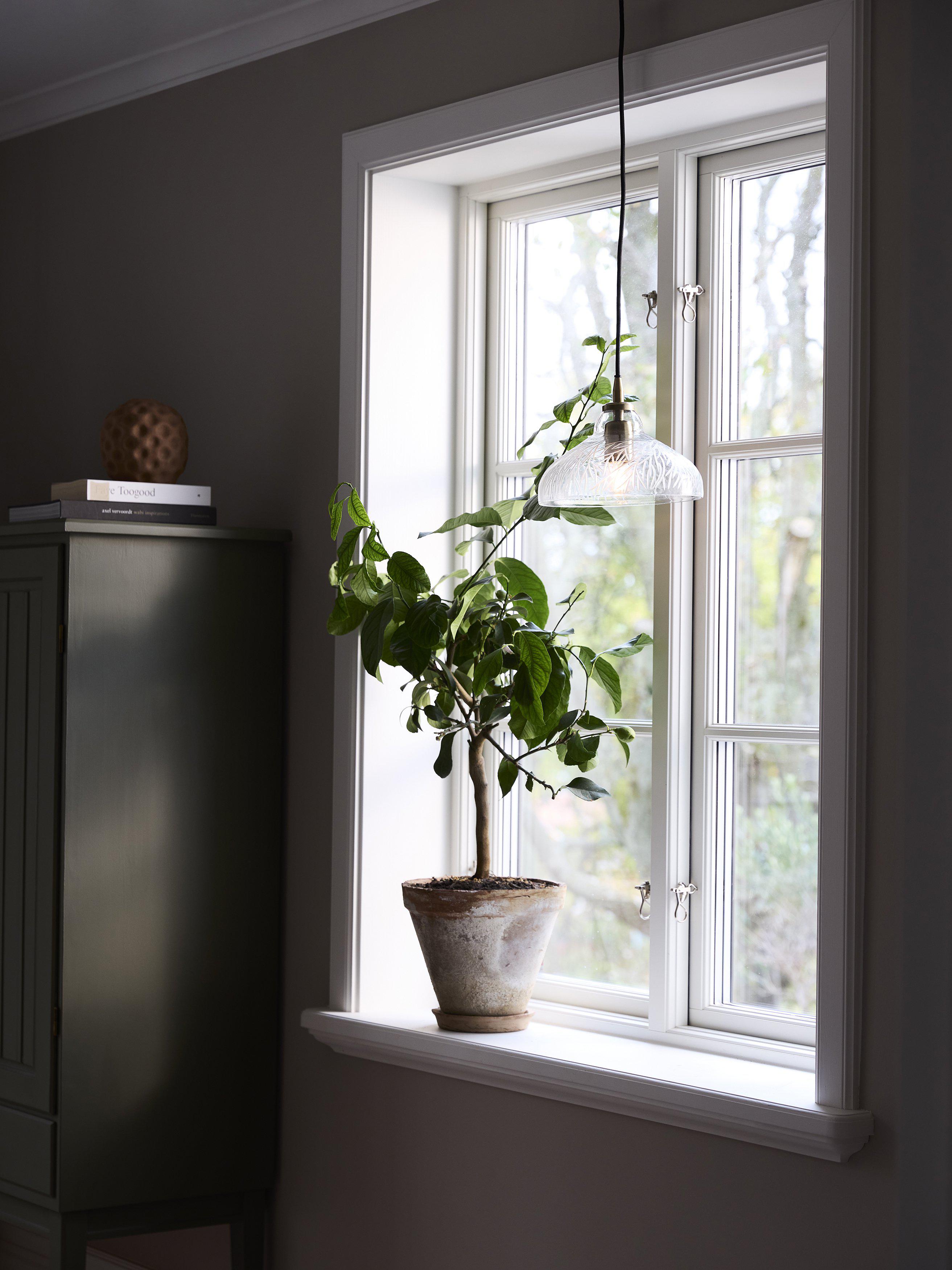 PR Home Maple Taklampa Klarglas 23cm